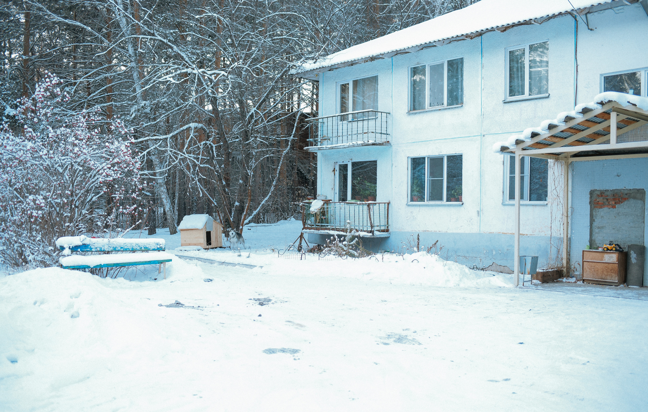 Один сказочный дом. Детский и семейный фотограф в Новосибирске Саша Дорошенко
