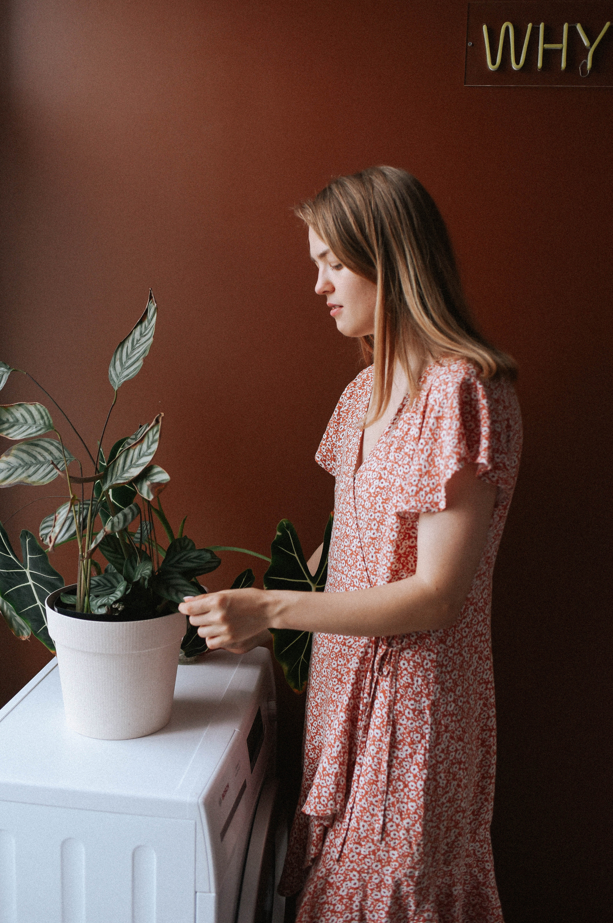 Завтрак аристократов. Детский и семейный фотограф в Новосибирске Саша Дорошенко