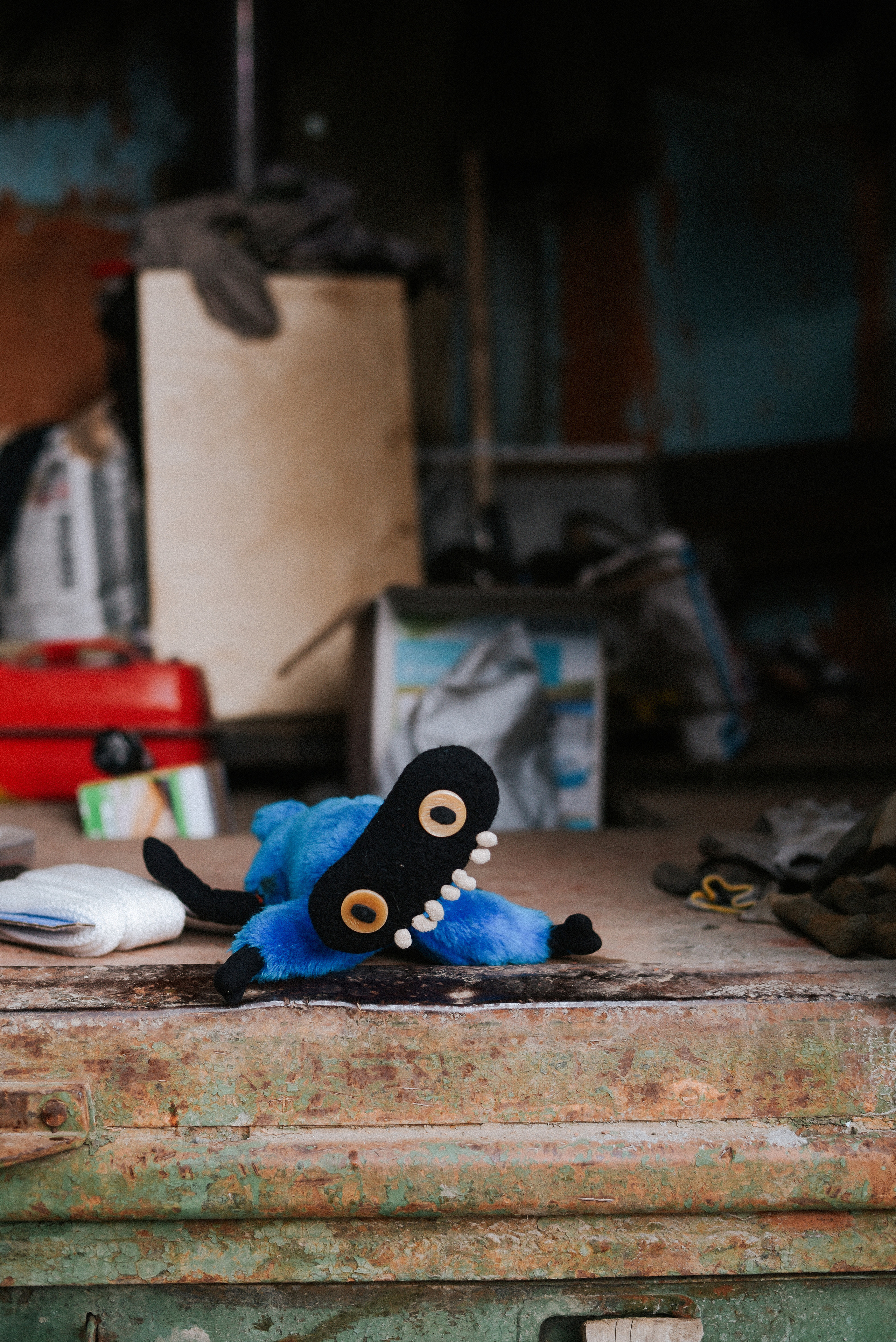 Алина и её рыцари. Детский и семейный фотограф в Новосибирске Саша Дорошенко