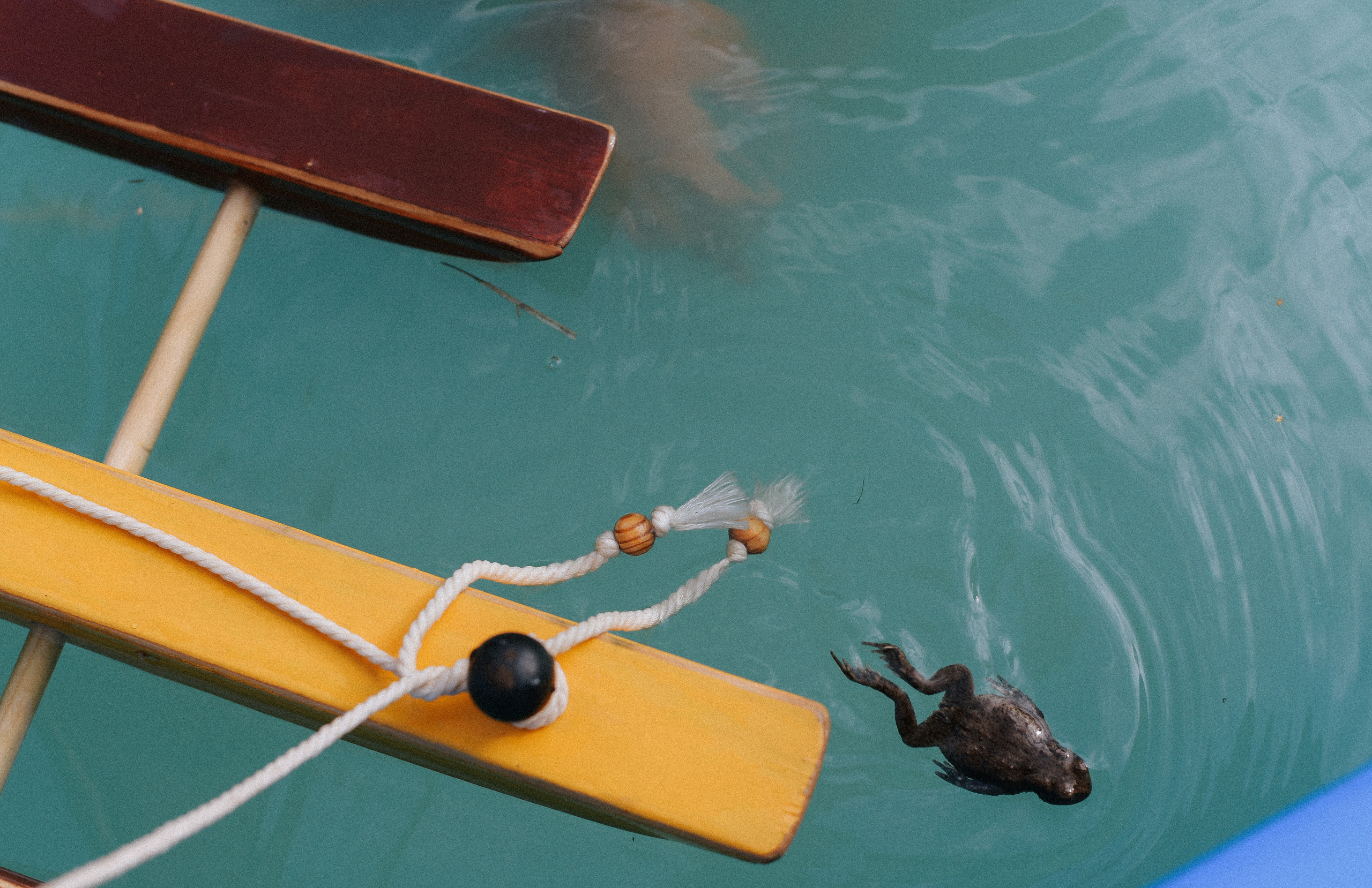 Алина и её рыцари. Детский и семейный фотограф в Новосибирске Саша Дорошенко