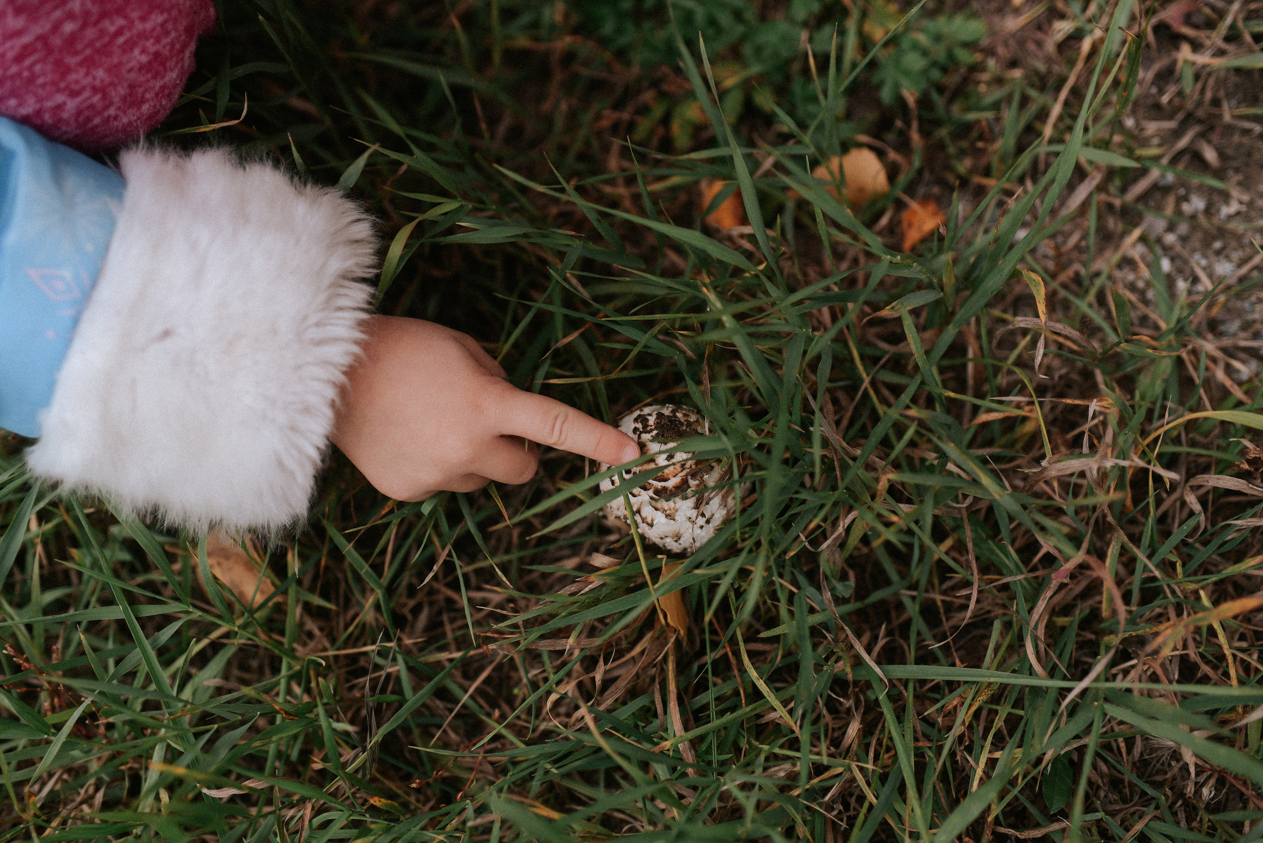Один удивительный мир. Детский и семейный фотограф в Новосибирске Саша Дорошенко