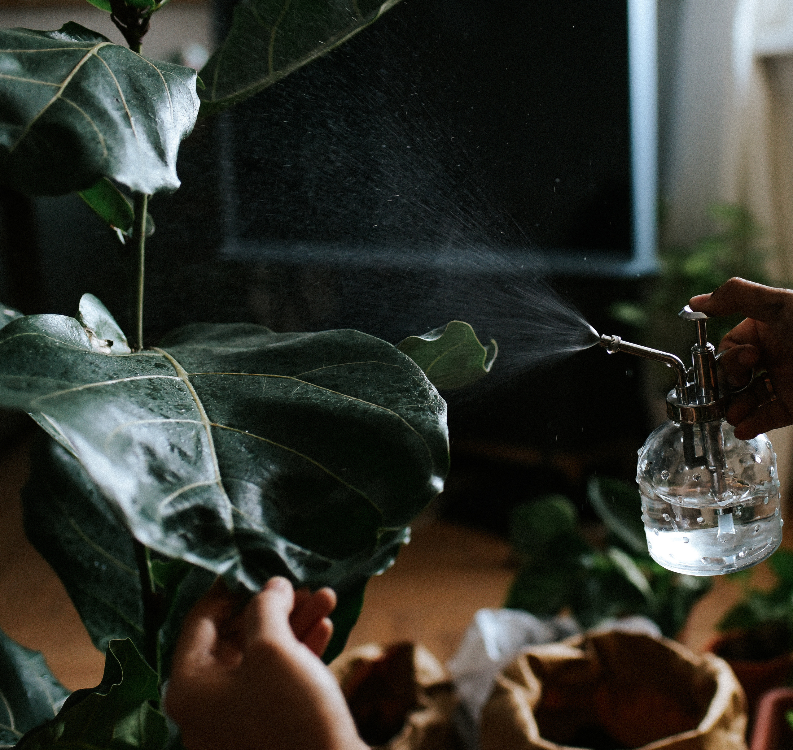 Семья. Дружба. Жвачка. Детский и семейный фотограф в Новосибирске Саша Дорошенко