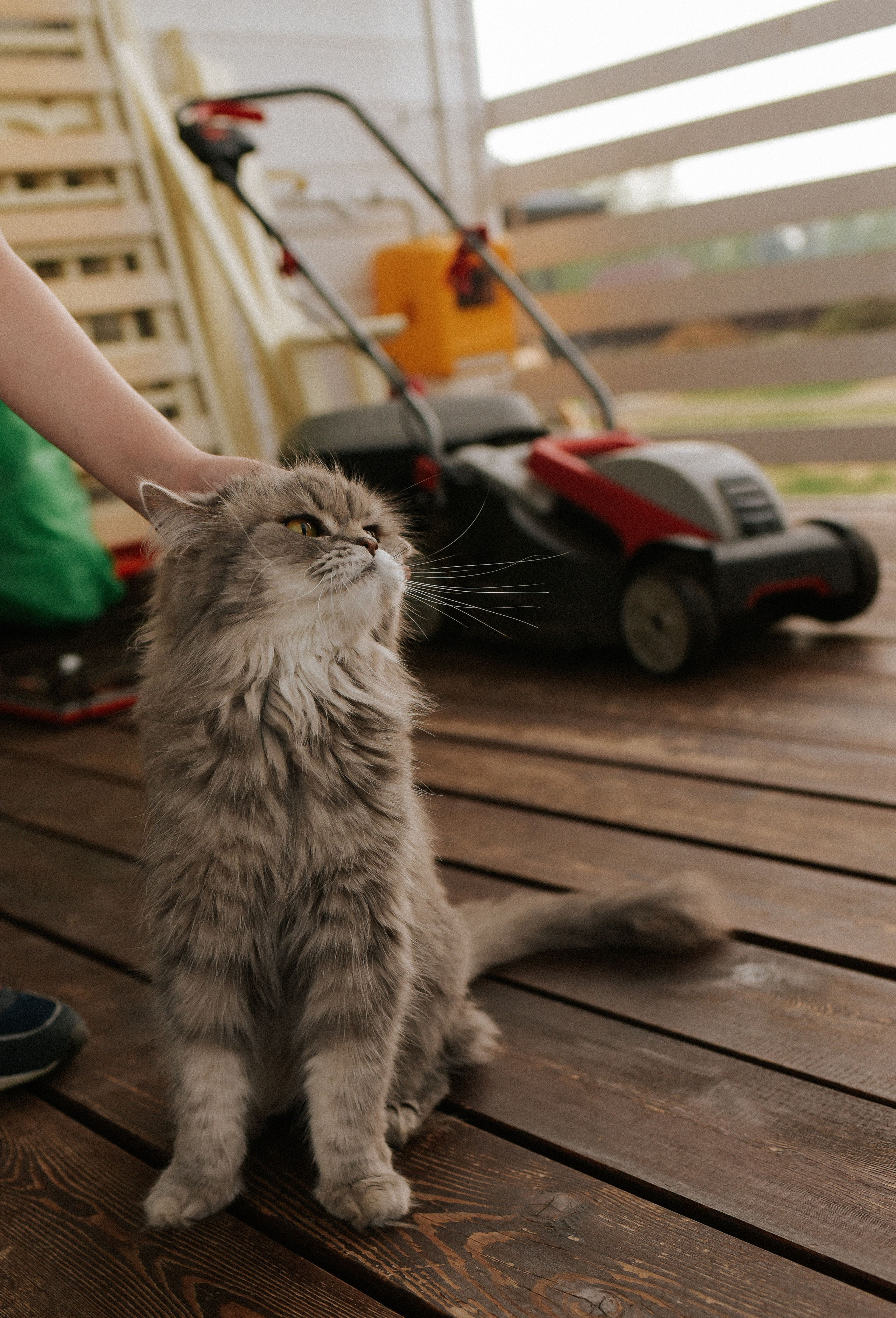 Королевство счастливой семьи. Детский и семейный фотограф в Новосибирске Саша Дорошенко