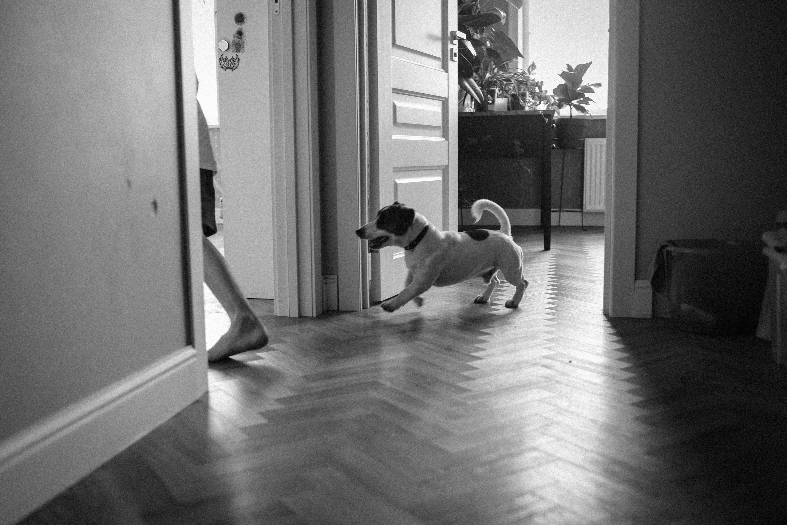 Завтрак аристократов. Детский и семейный фотограф в Новосибирске Саша Дорошенко