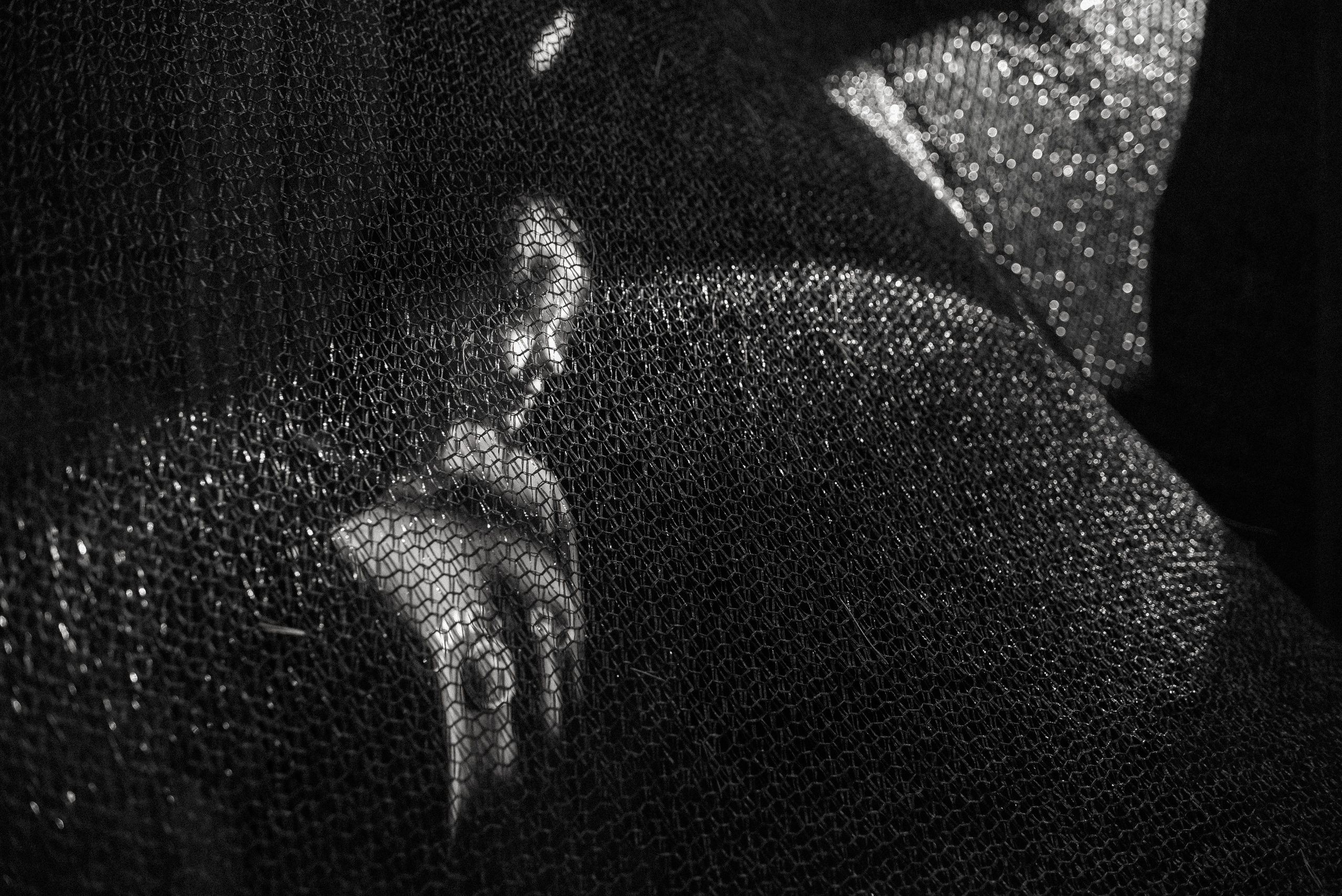 Мои дети. Детский и семейный фотограф в Новосибирске Саша Дорошенко