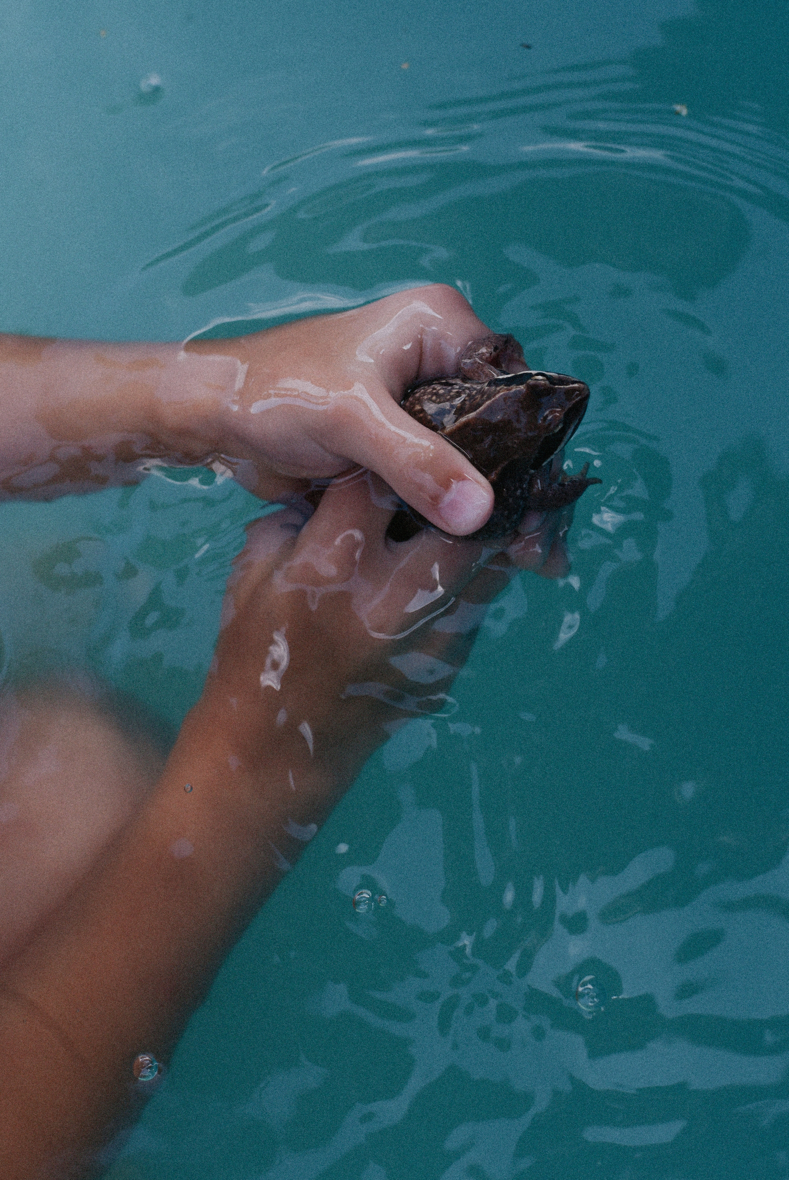 Алина и её рыцари. Детский и семейный фотограф в Новосибирске Саша Дорошенко