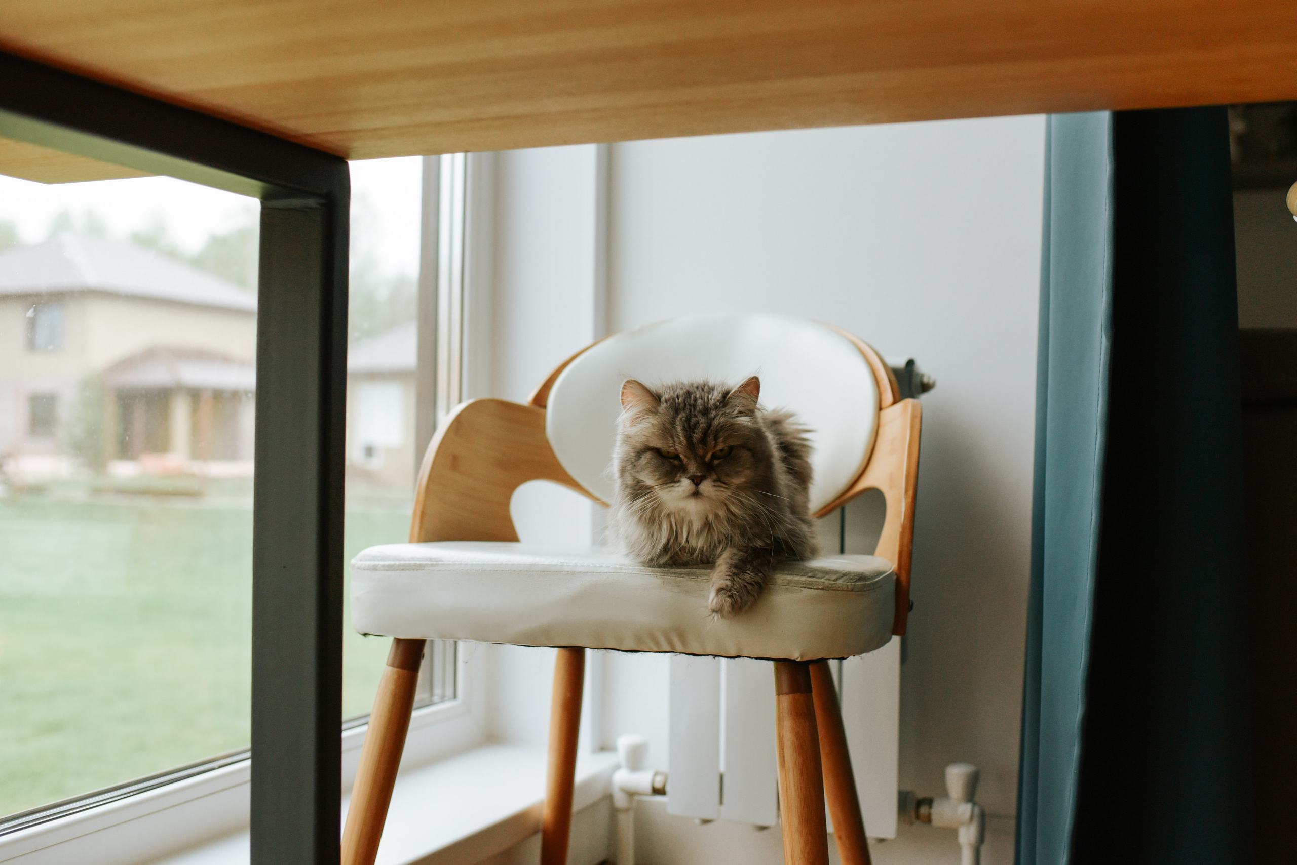 Королевство счастливой семьи. Детский и семейный фотограф в Новосибирске Саша Дорошенко