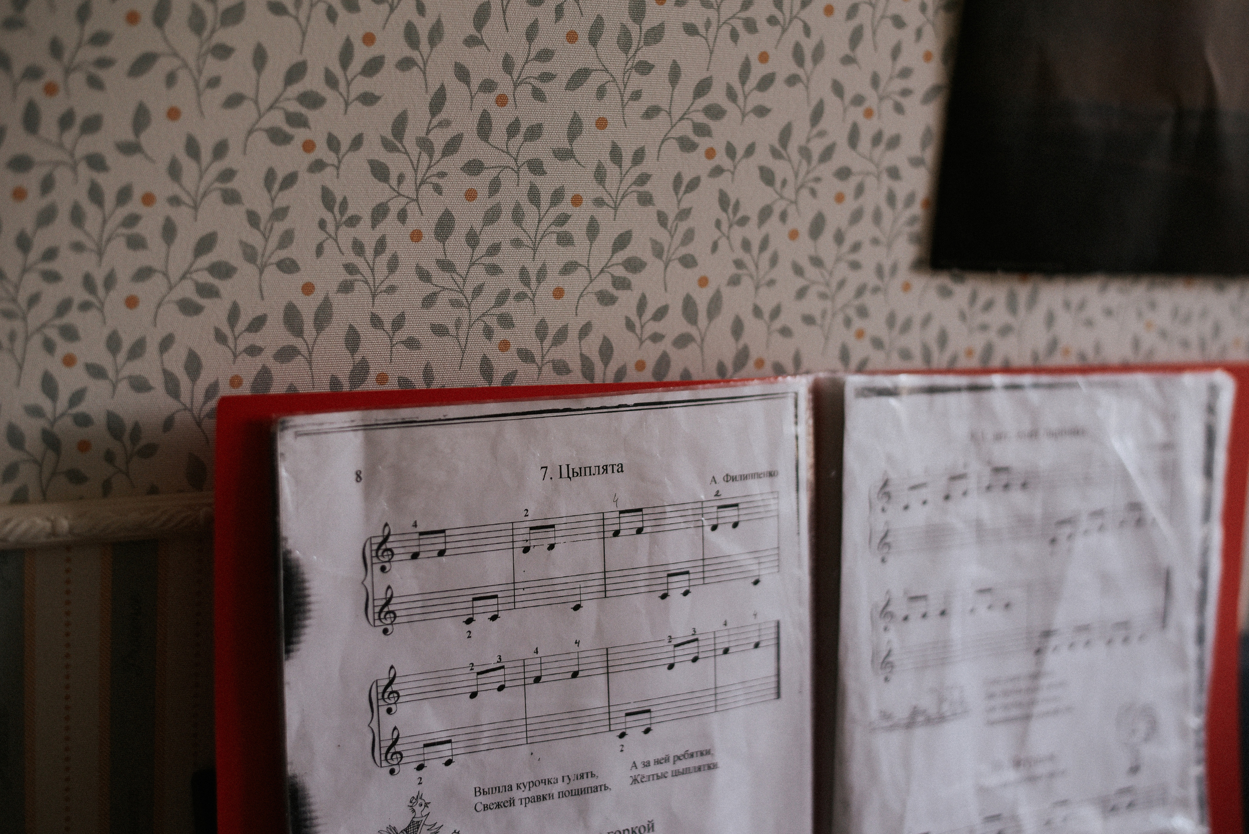 Один удивительный мир. Детский и семейный фотограф в Новосибирске Саша Дорошенко