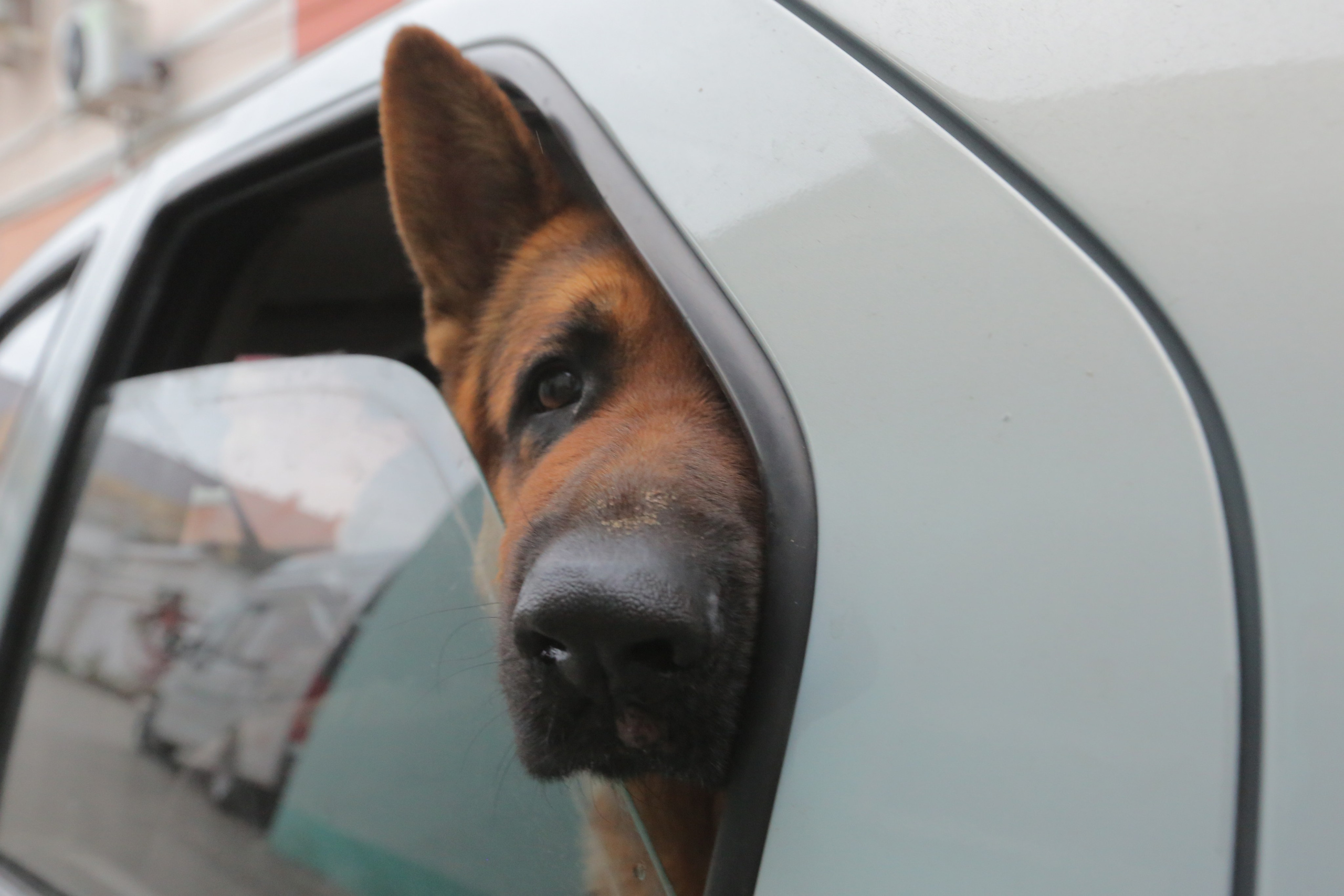 Фото Природы Сибири. Студия Максима Белослюдцева