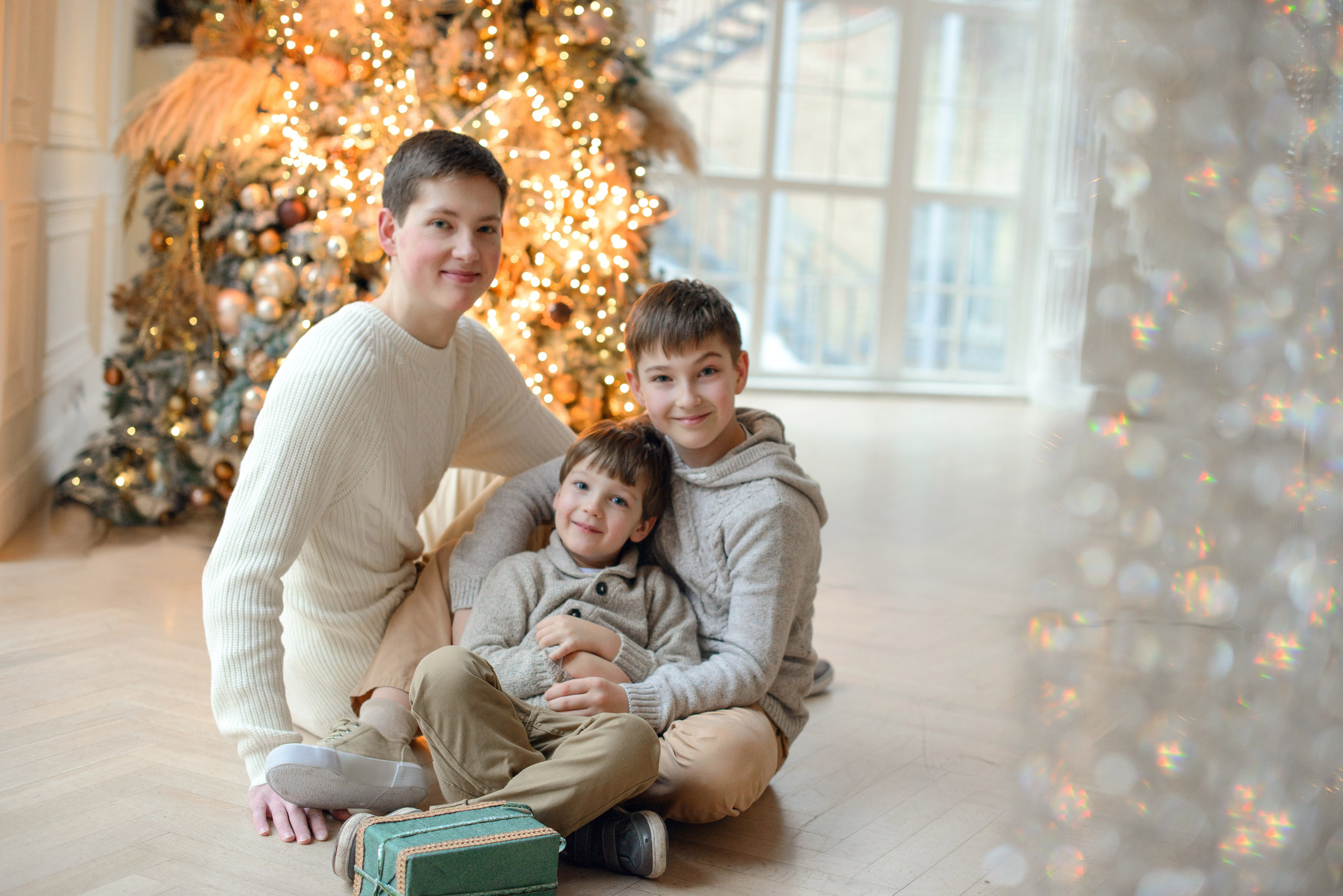Brothers, three boys, Studio photo shoot at Christmas time