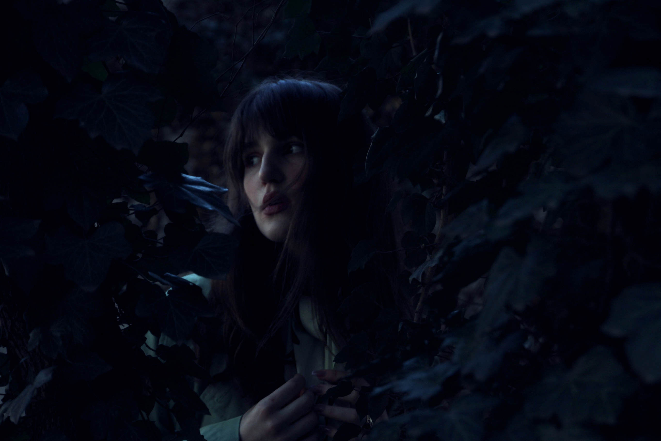 Brittle as a heart. Серж Дробович | Фотограф | Санкт-Петербург