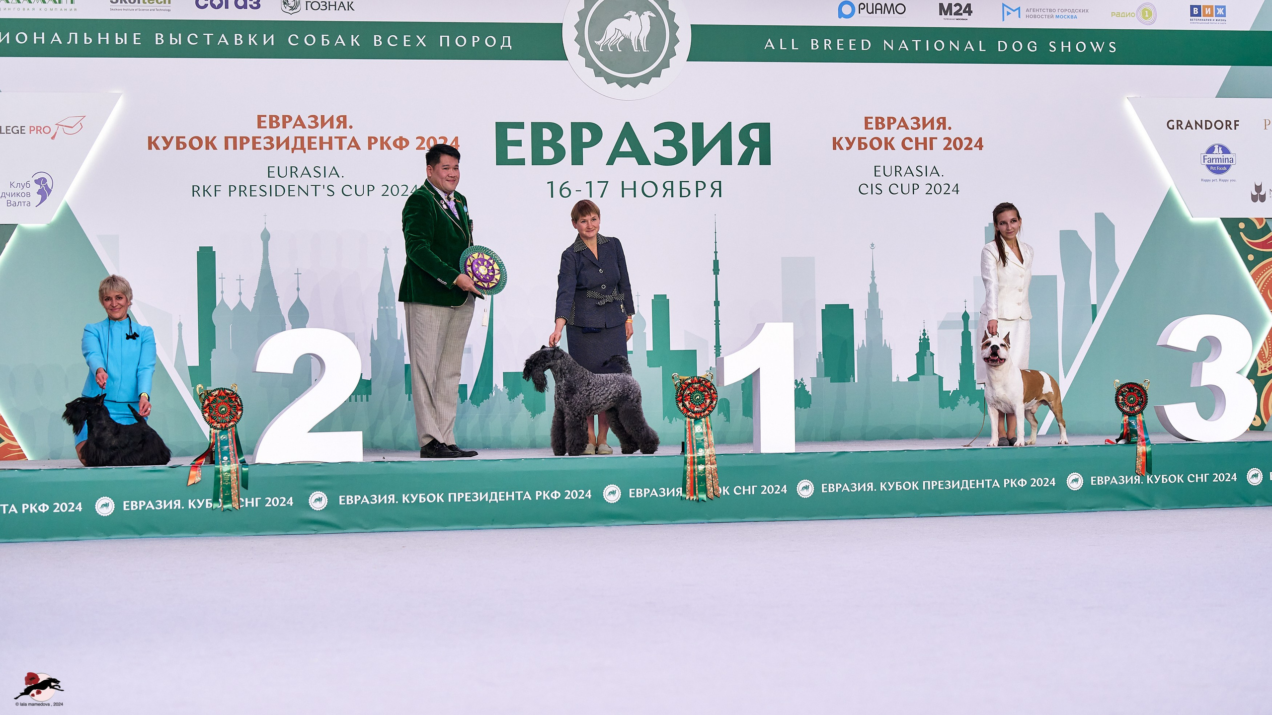 17.11.2024 «ЕВРАЗИЯ. КУБОК СНГ 2024»