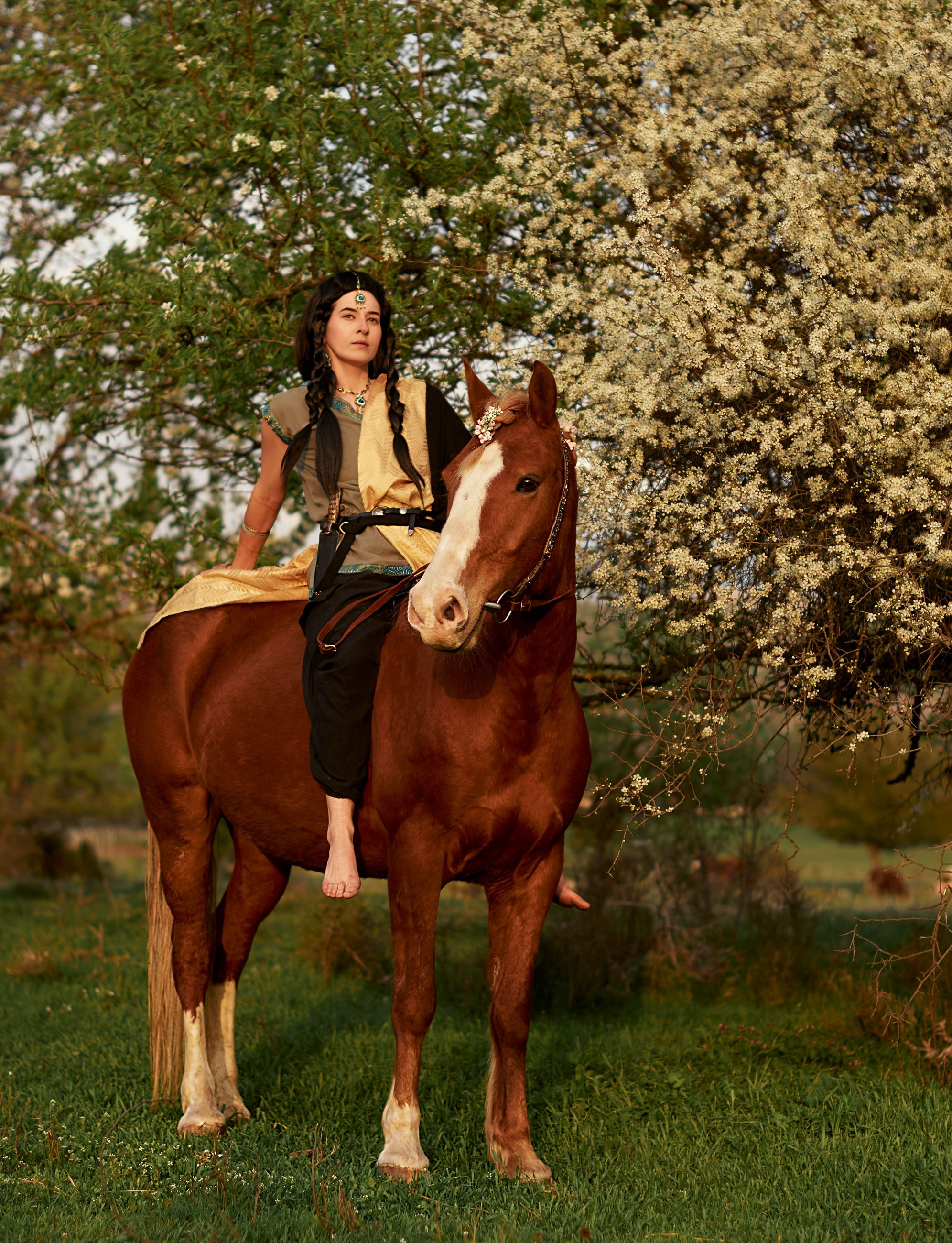 Фотосессия с лошадью. Фотограф в Севастополе