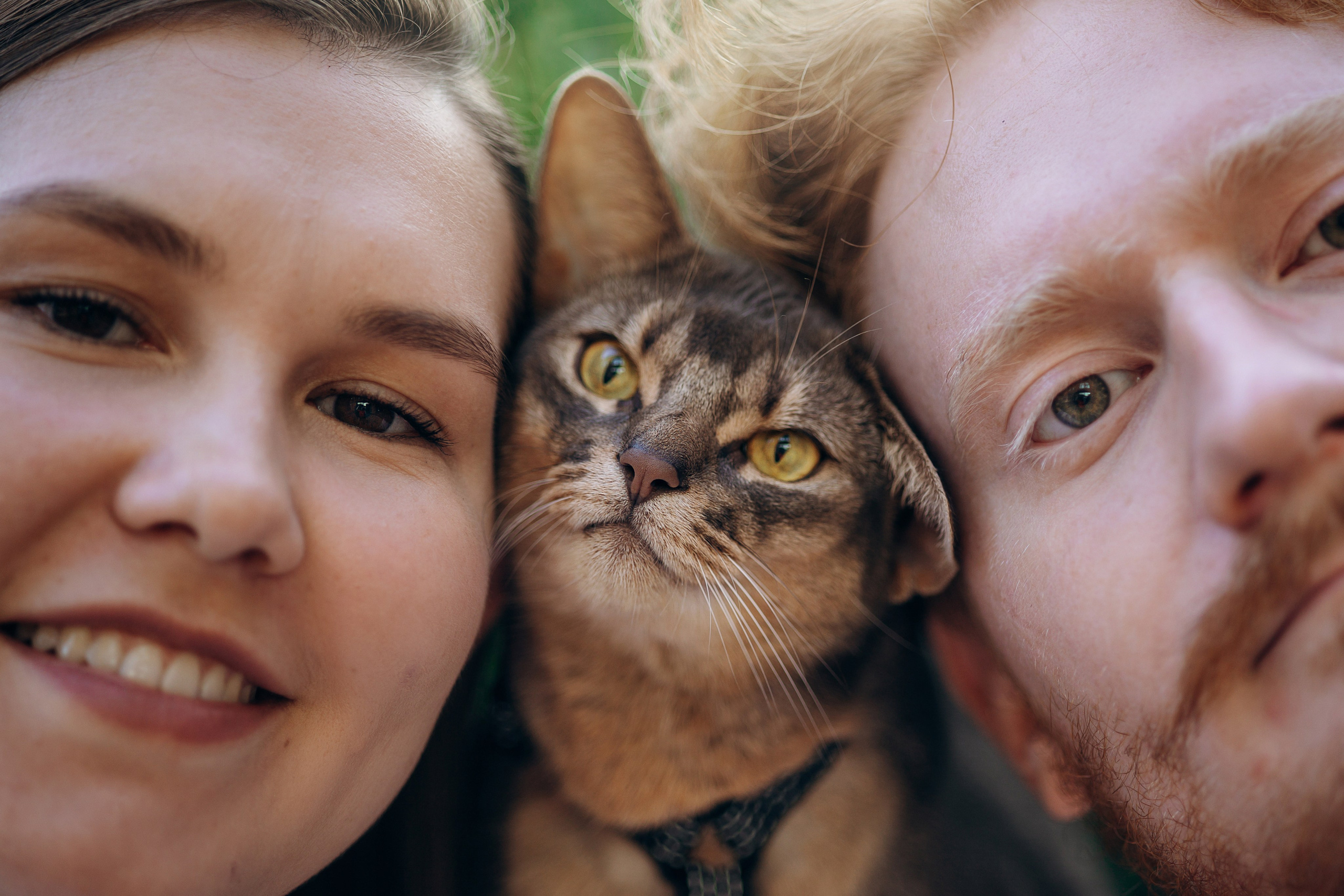 Циско и его семья. Фотограф — Анималист | Санкт-Петербург