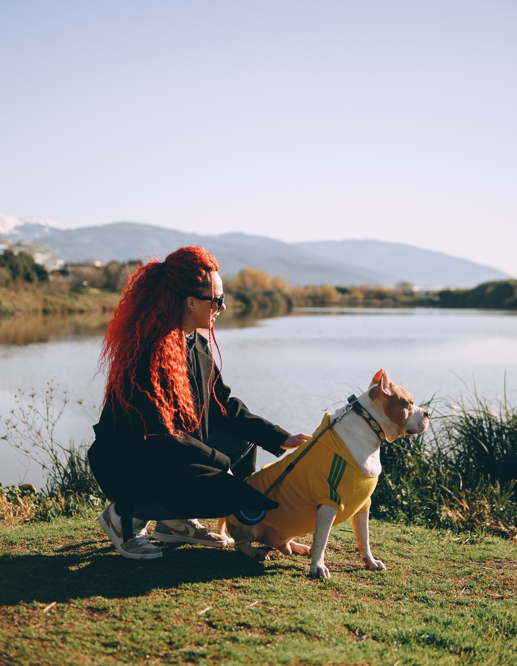 Игры с собаками. Свадебный и семейный фотограф София Невская