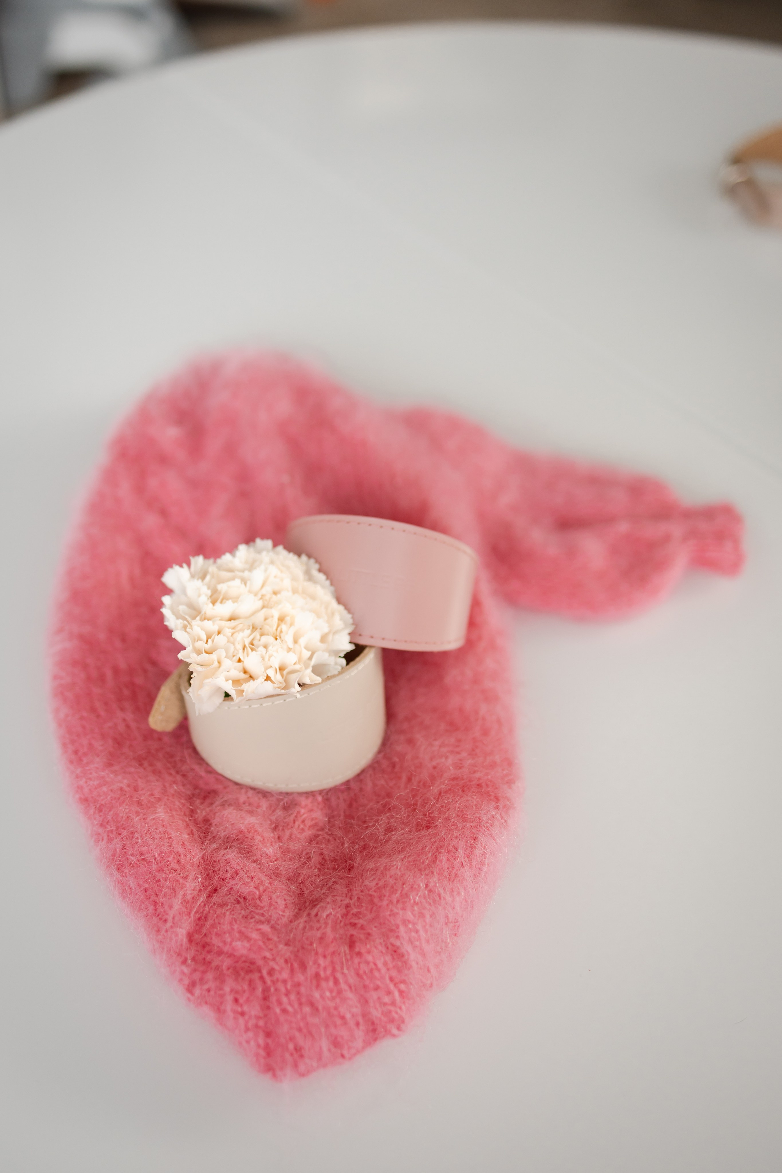 Прогулки. Профессиональный питомник левреток РКФ/FCI ASTI SAPPHIRE 💎 Сочи|Санкт-Петербург