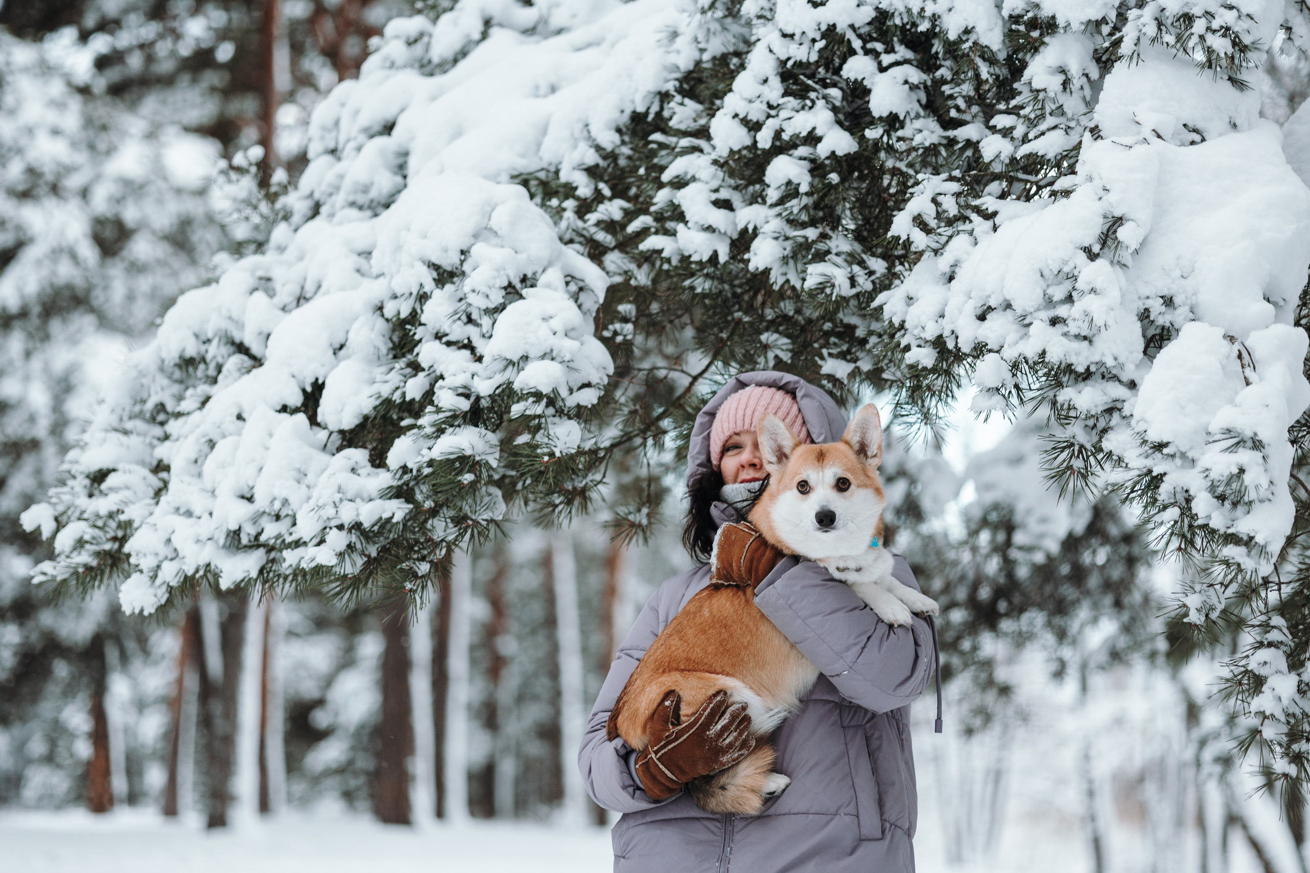 Оливка и ее семья. Фотограф — Анималист | Санкт-Петербург