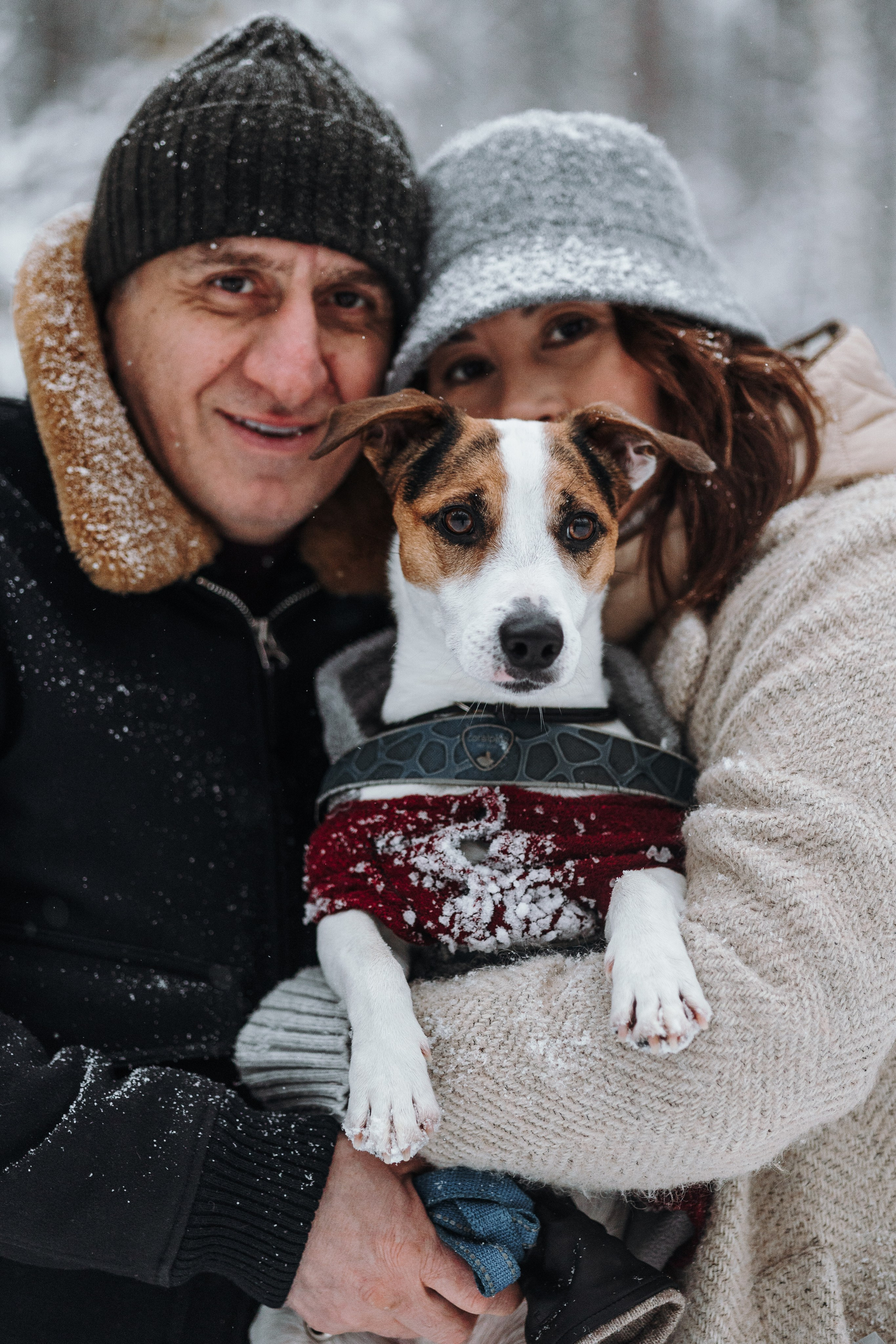 Мики и его семья. Фотограф — Анималист | Санкт-Петербург