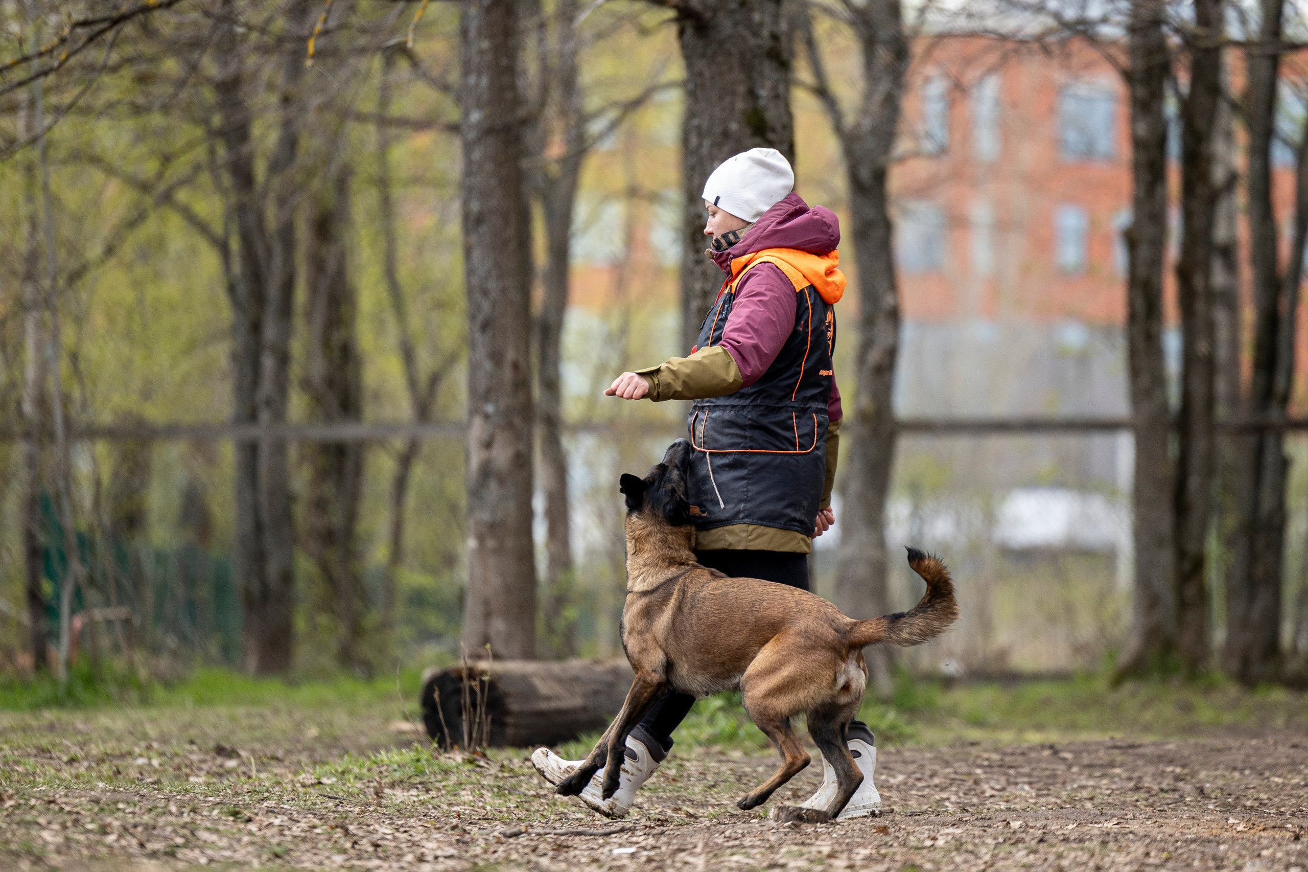 Квалификационные состязания по мондьорингу г. Вологда 11.05.24. Фотограф-анималист Анна Маринич