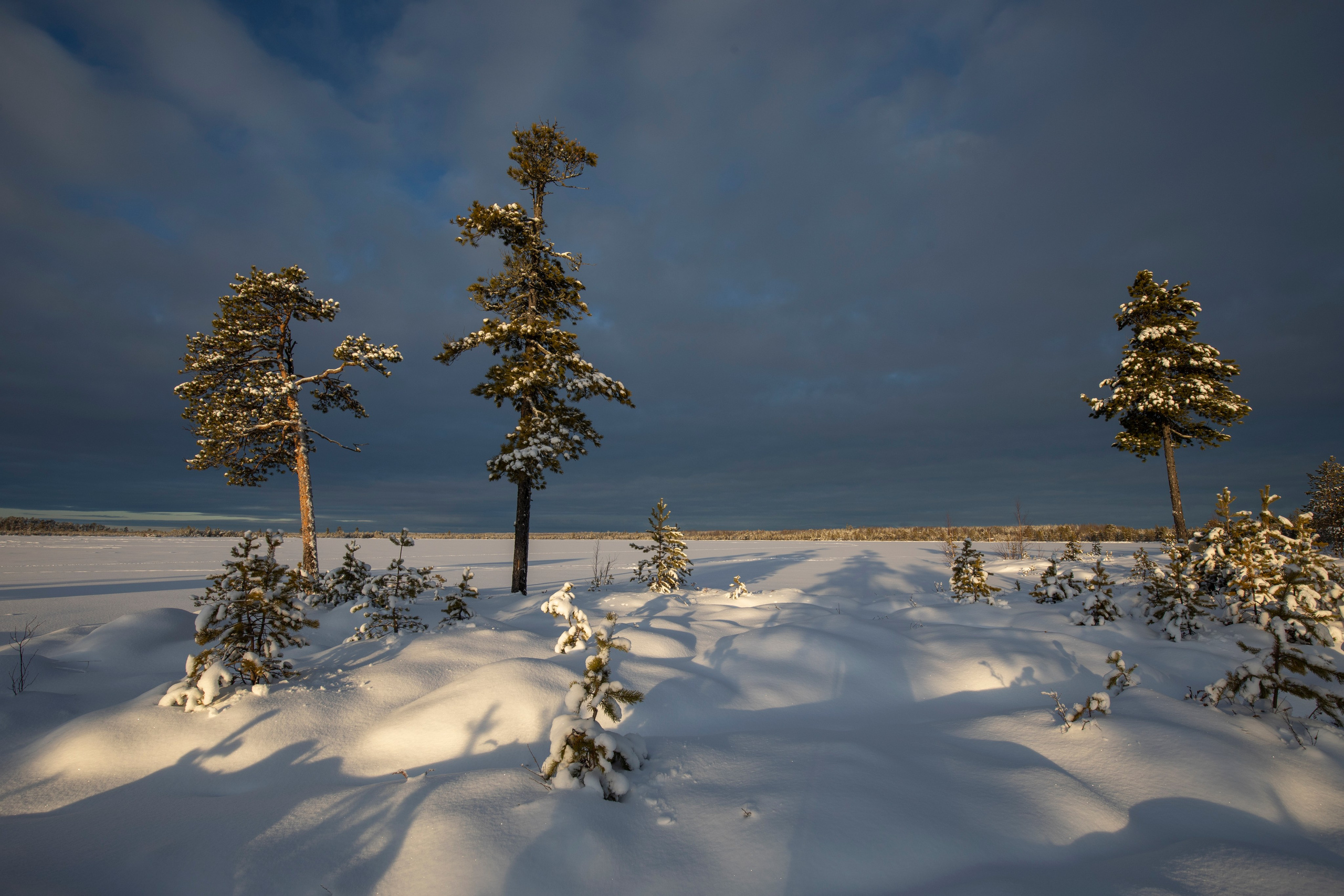 Фотограф Татьяна Борисова