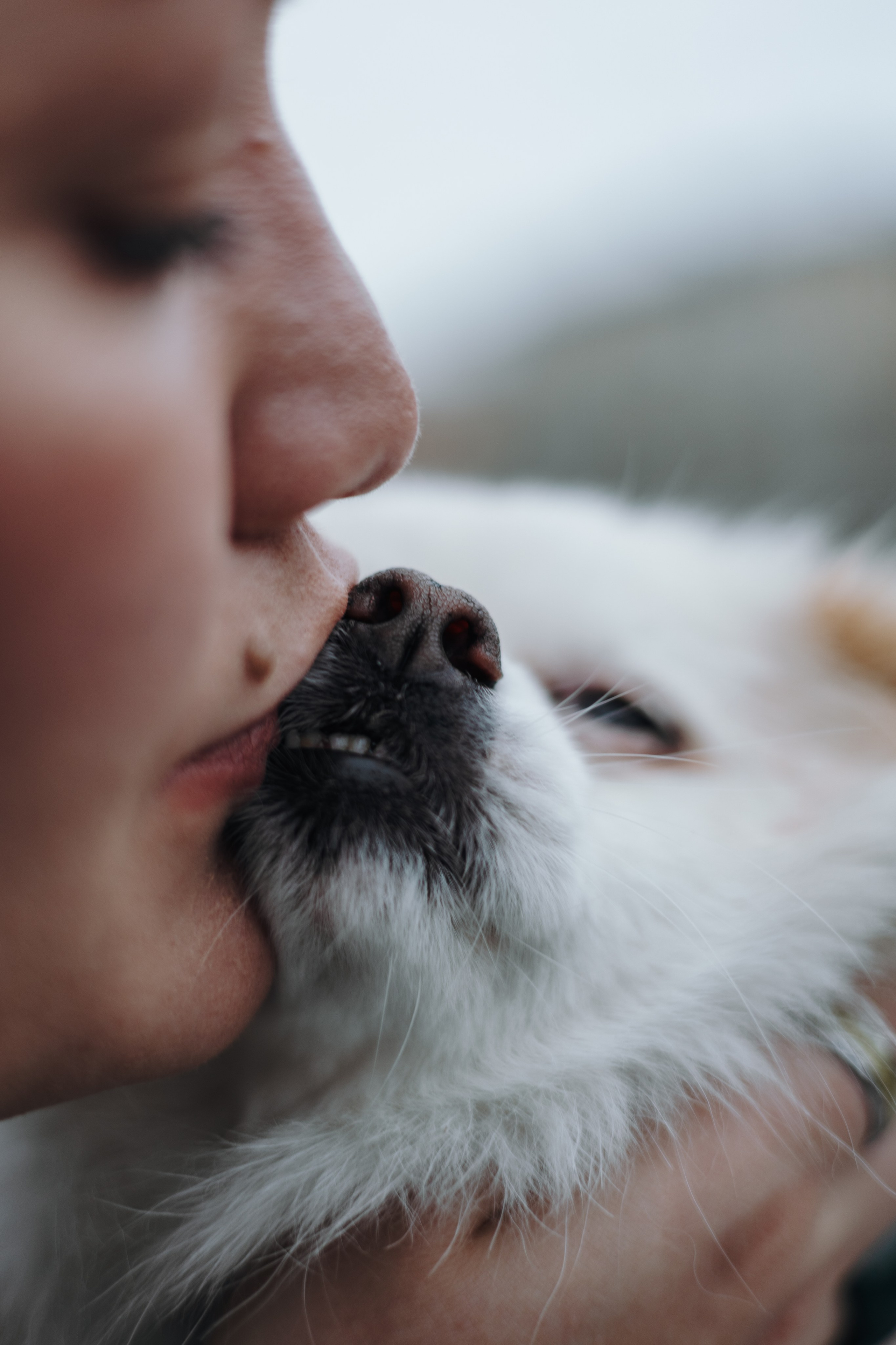 Александра и Айс. Фотограф животных Евгения Верцинская