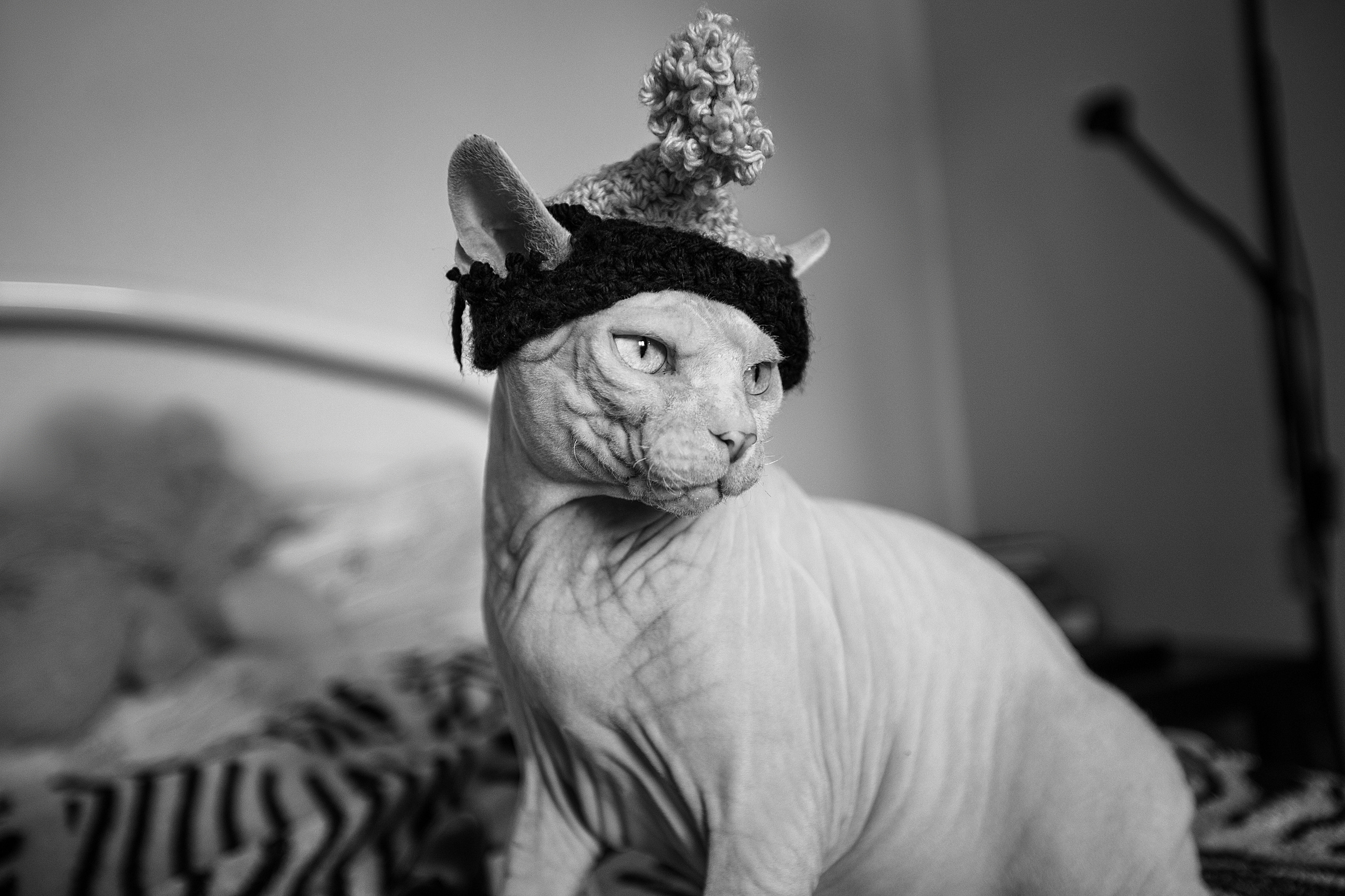 ПОРТРЕТЫ. Фотограф в Краснодаре Дина Павленко