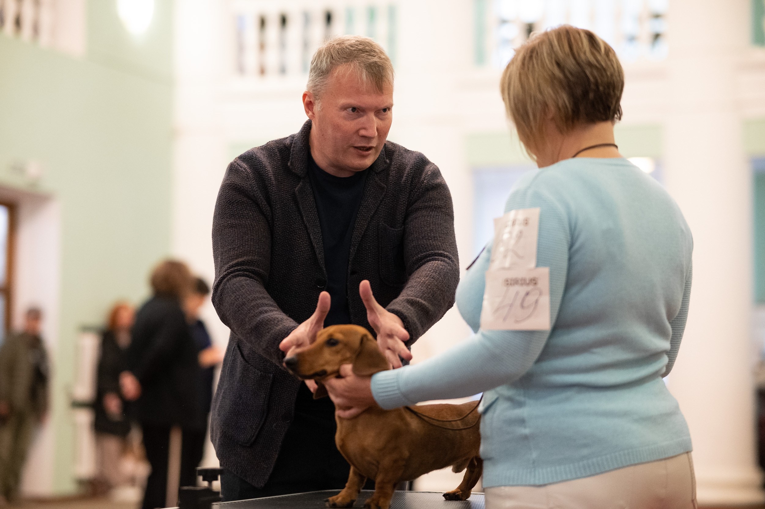 Выставка собак. Фотограф и видеооператор в Туле | Даниил Рыбак