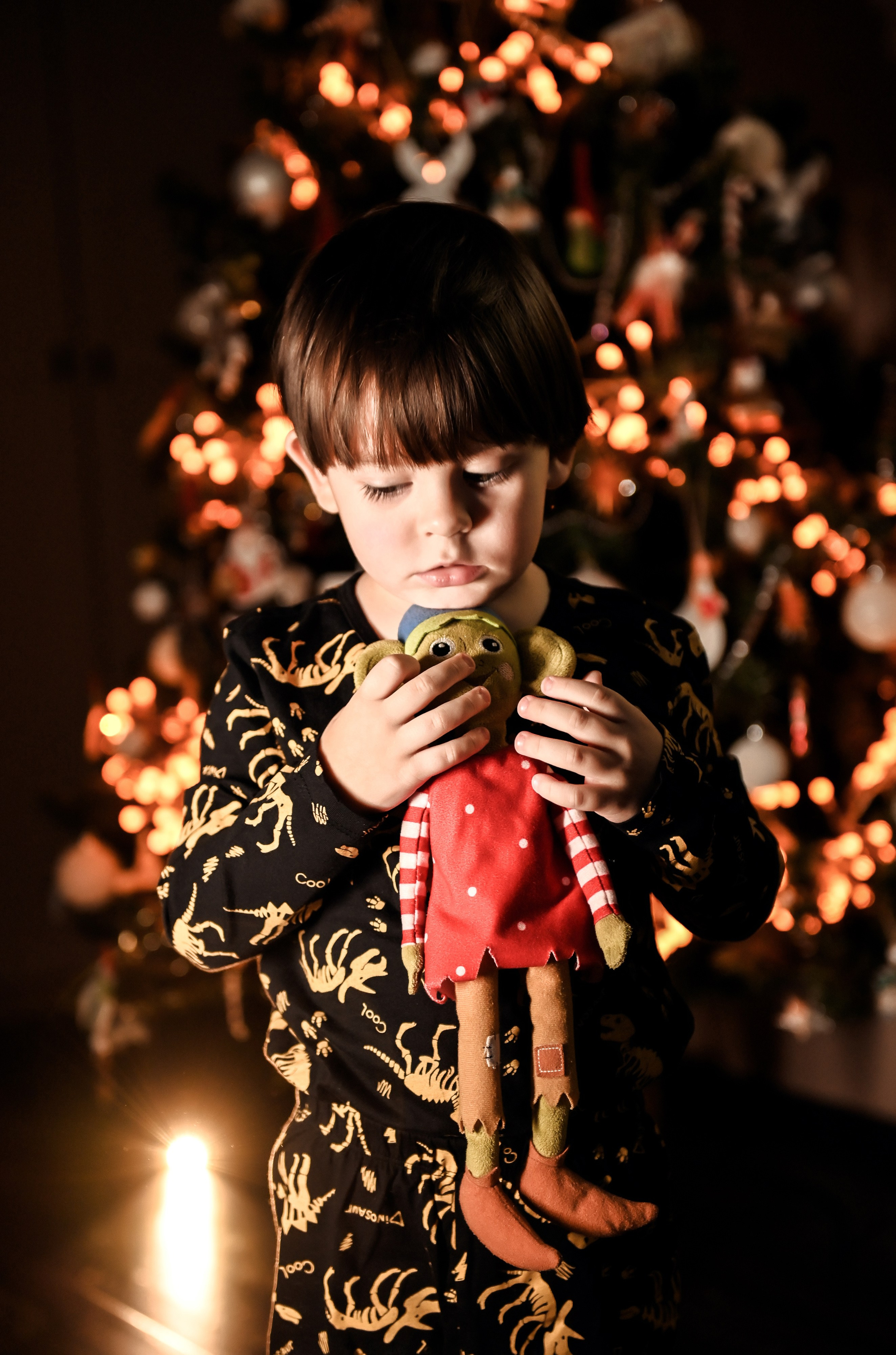 Домашняя новогодняя. Свадебный, семейный, детский, контент фотограф в Омске Максим Ильин