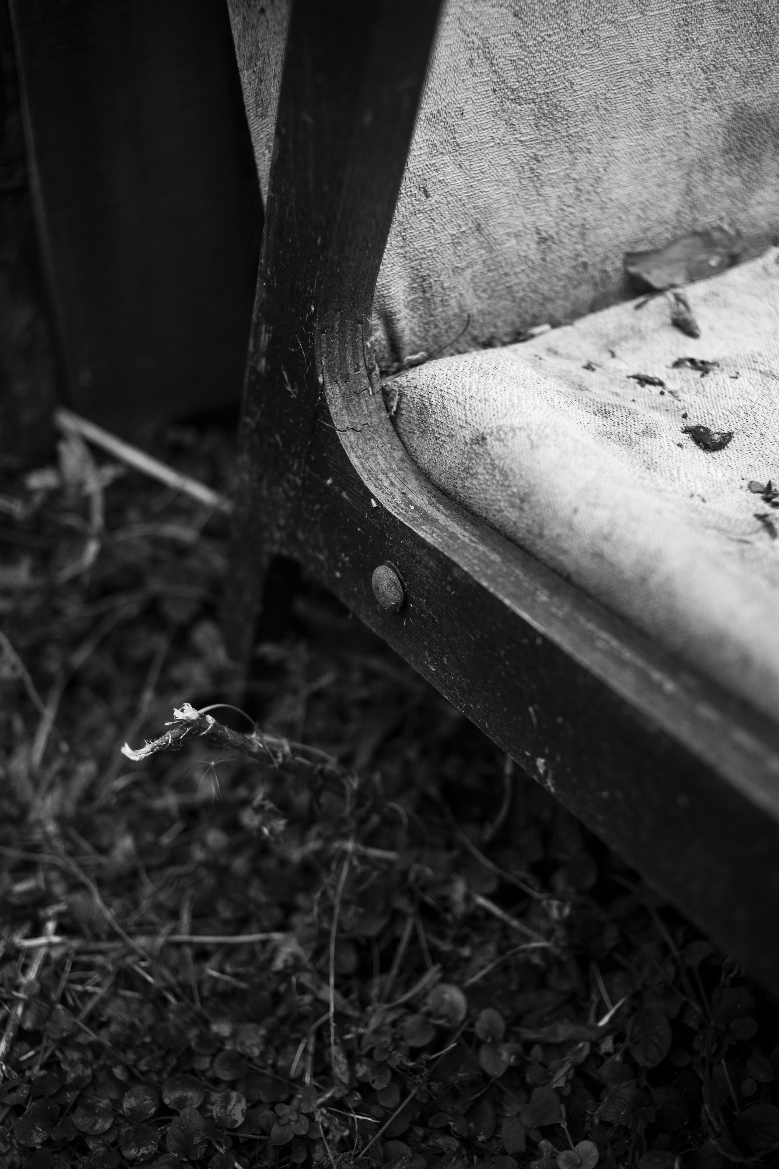 портретный фотограф Нижний Новгород