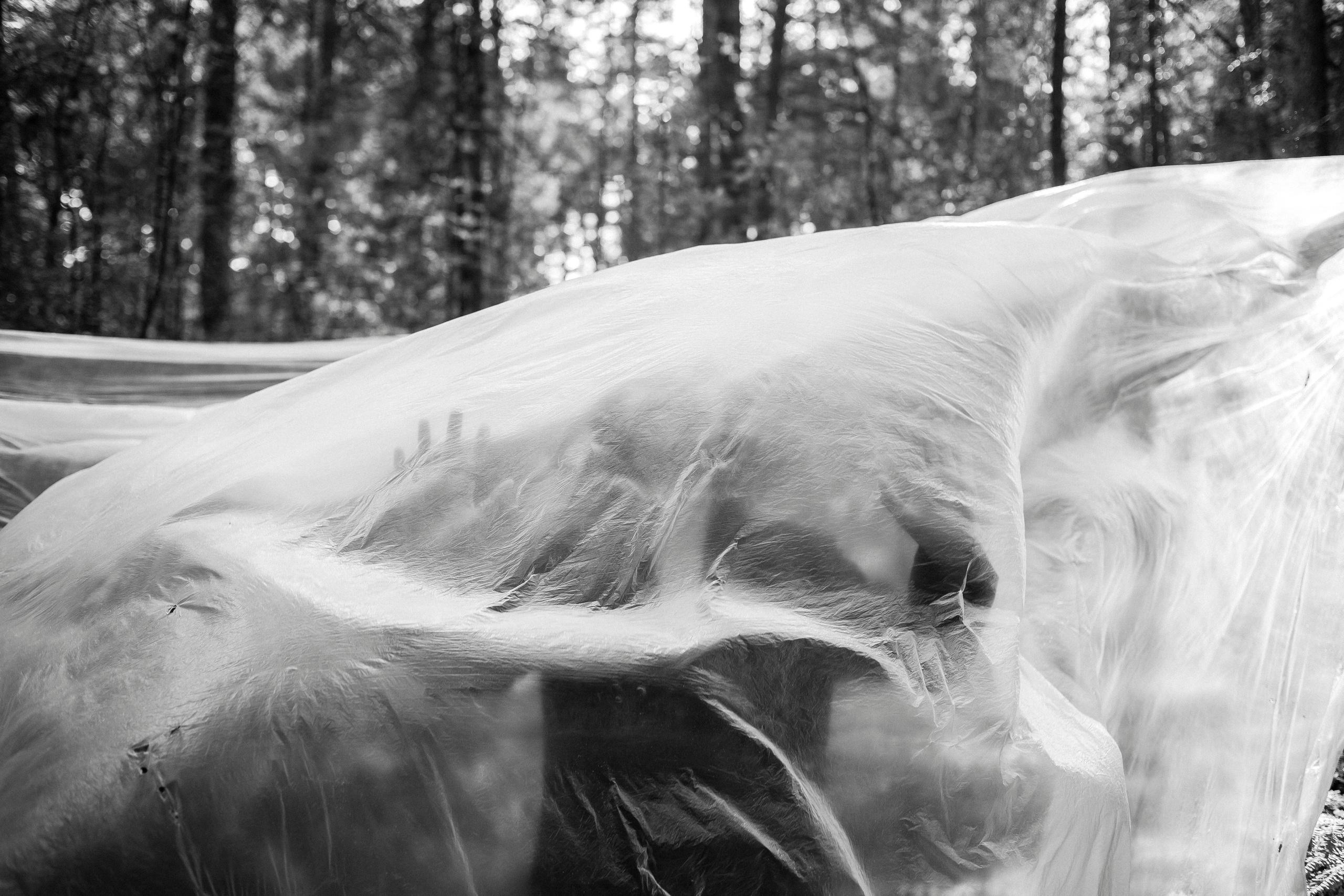 фотосессия для девушки