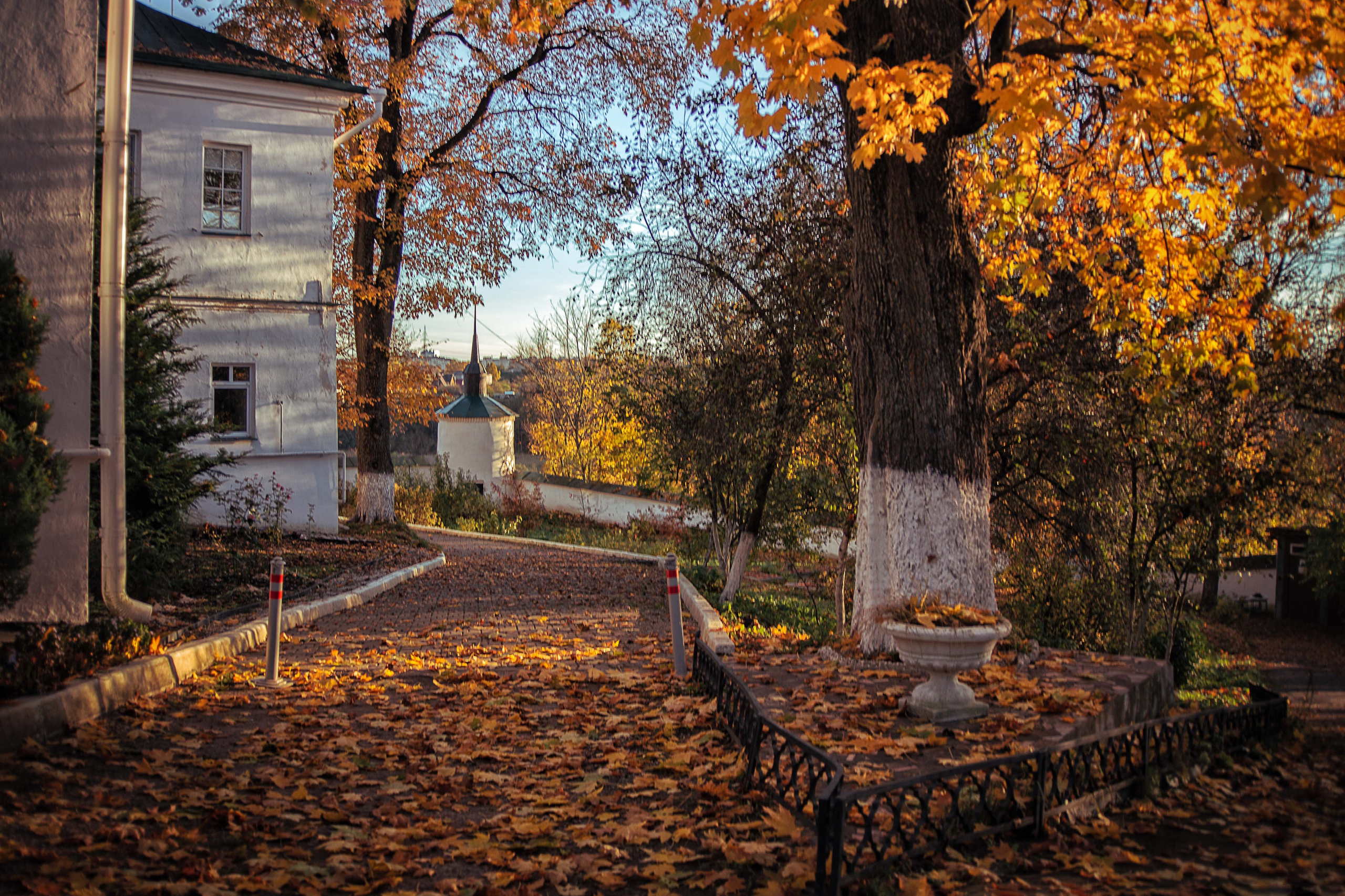 Псков. Семейный и детский фотограф в Москве Ольга Кривенцова