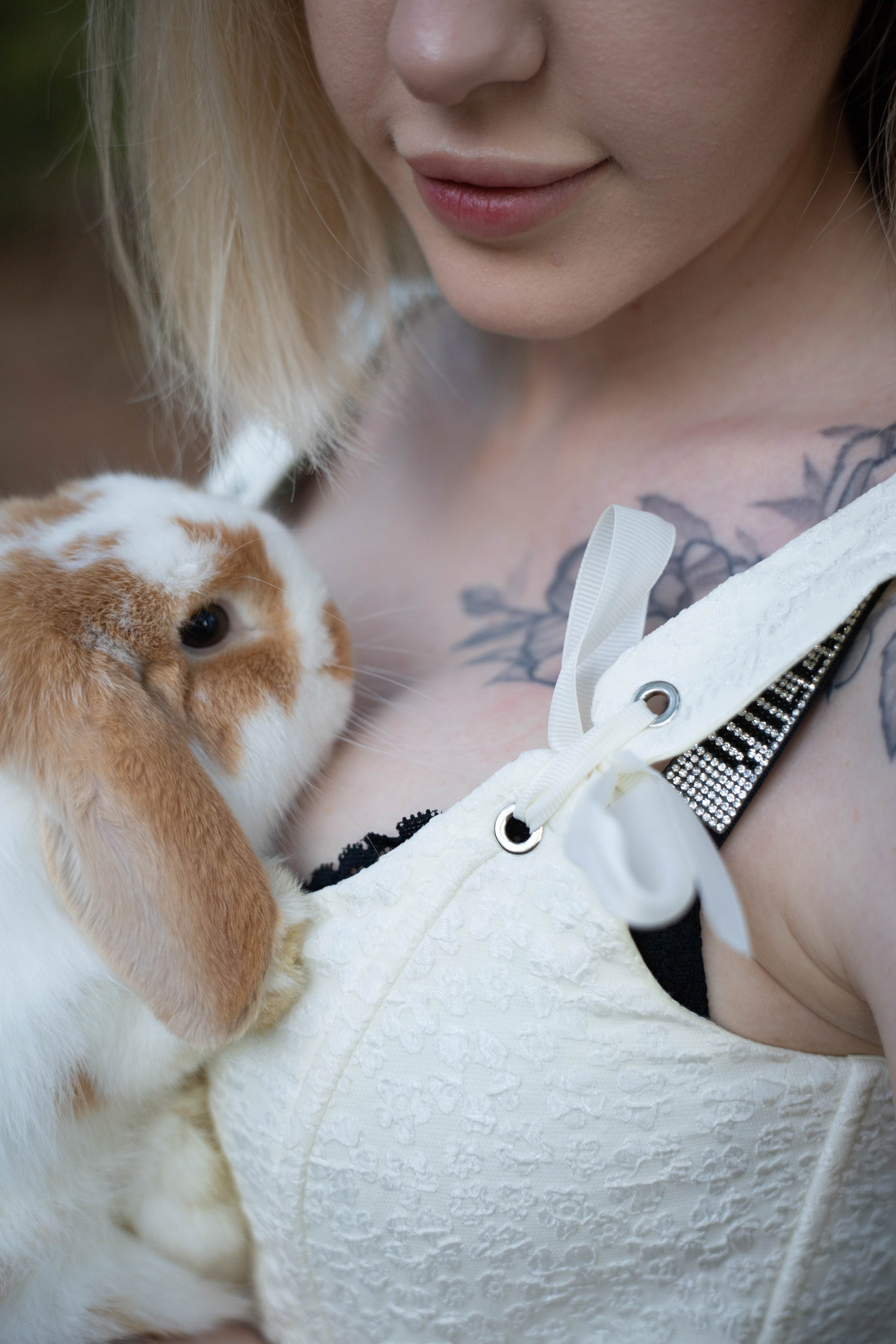 Фотосессия выездная «Кролик». Фотограф в Крыму Татьяна Барицкая ЕНОТИКА