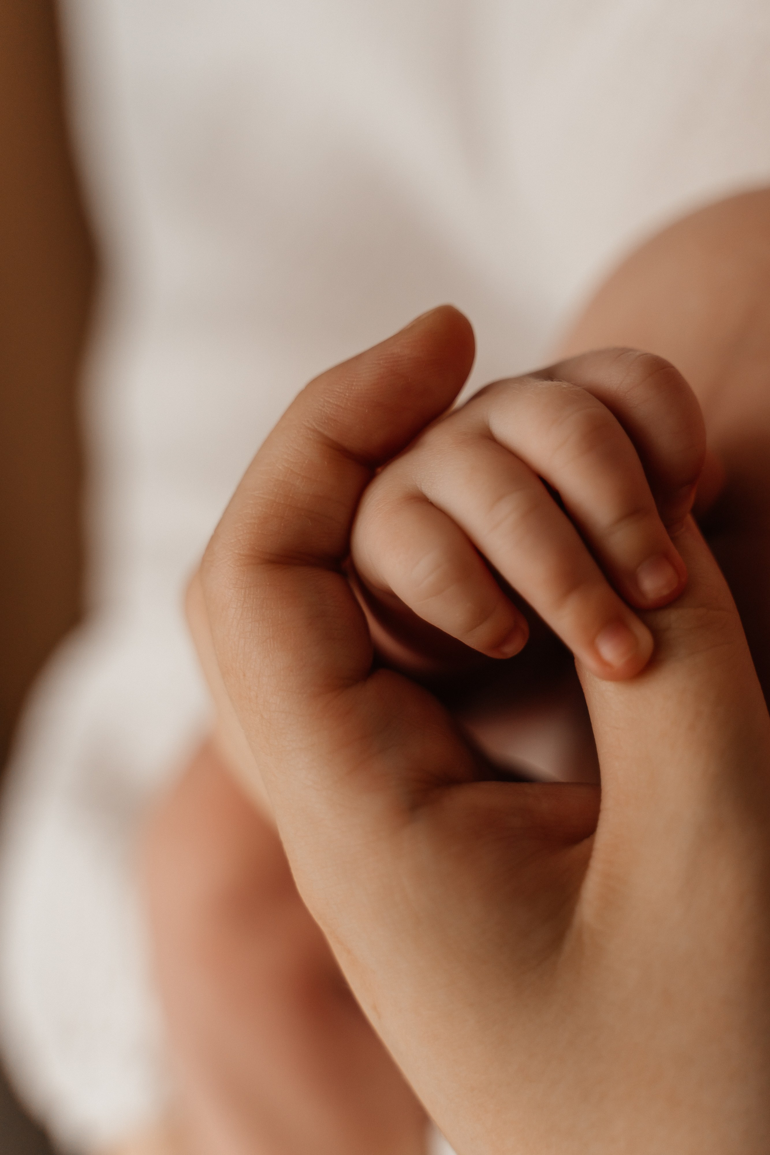 Андрей, Ангелина и Лев. Волик Мария