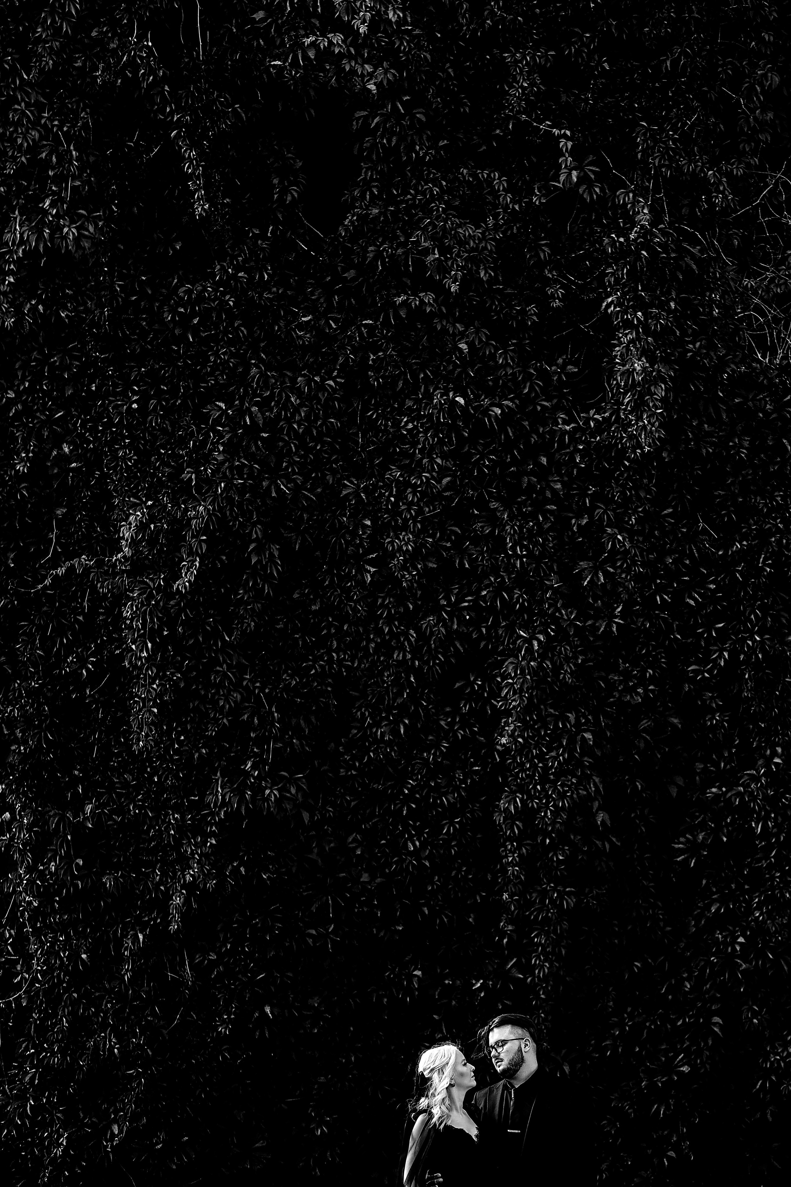 Тимур и Ольга. Свадебный фотограф Чайковский