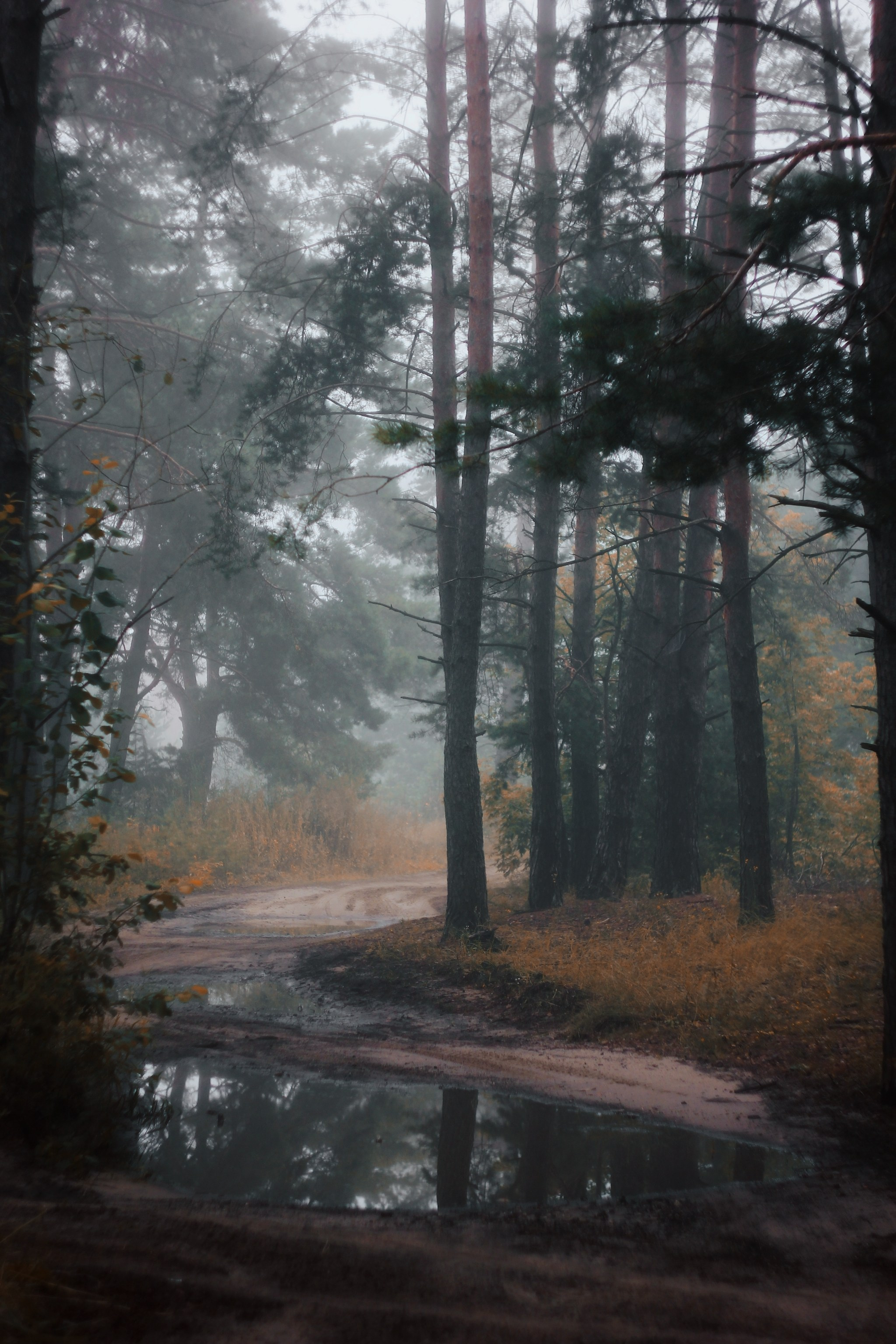 Меланхолия августа. С любовью, фотохудожник