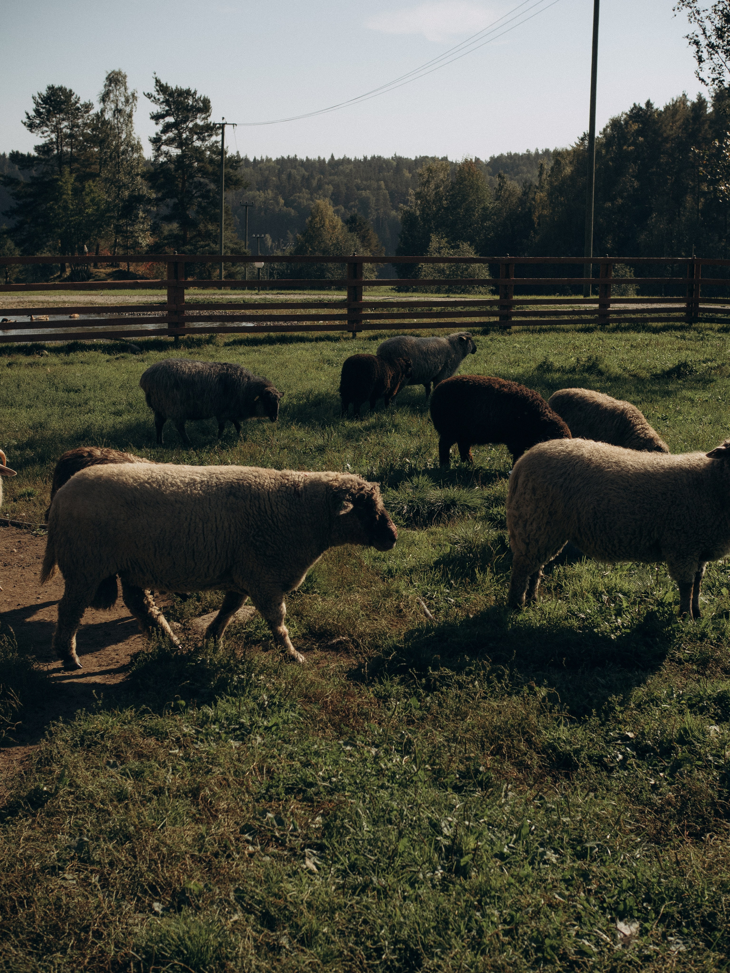 Fam2. Фотограф в Сортавала Карина Буглакова