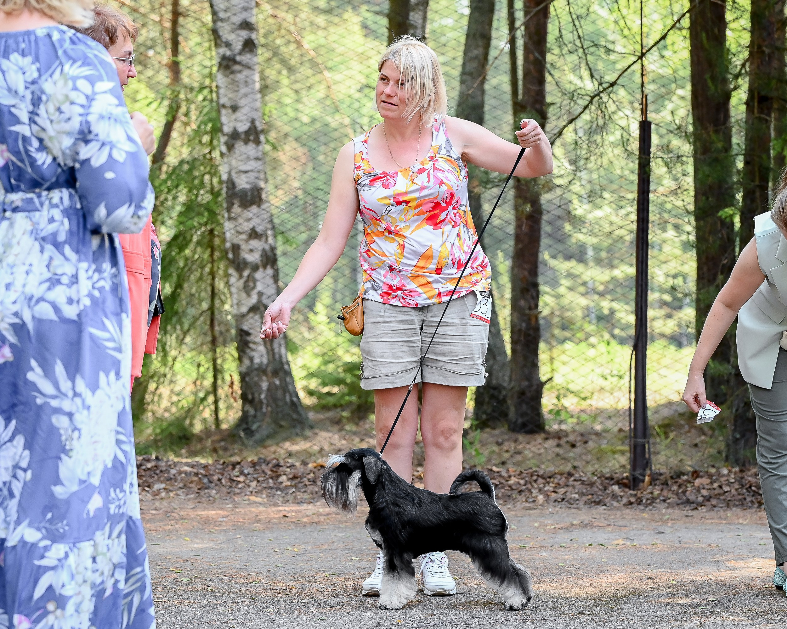 Питомник Делинсо Бэлэнс, щенки цвергшнауцера, купить щенка цвергшнауцера, питомник цвергшнауцеров, кобель цвергшнауцера для вязки, щенок цвергшнауцера, питомник цвергшнауцеров, черный с серебром, цверг, лучший питомник в беларуси