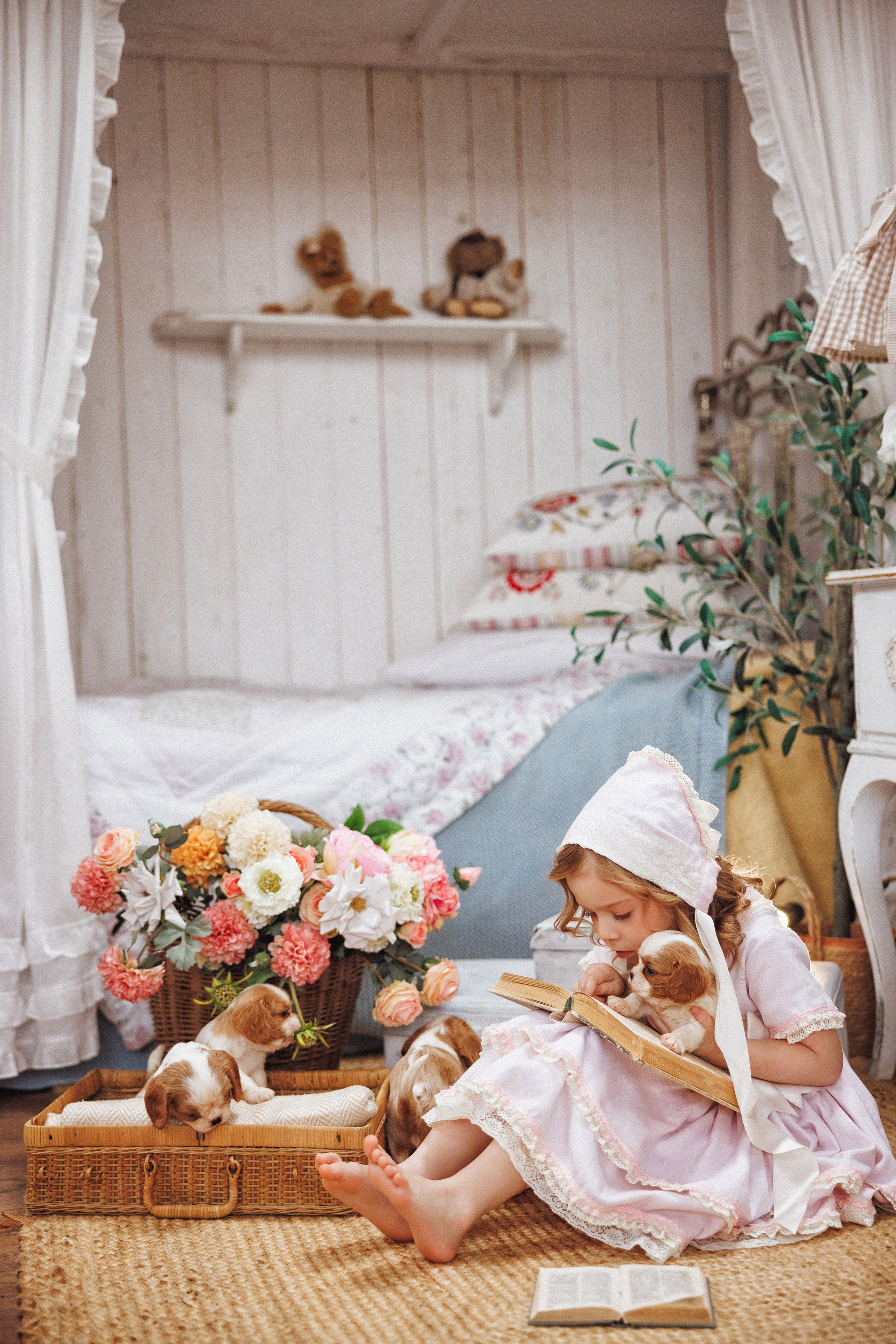 Фотосессия с щенками Кавалер кинг чарльз спаниель, фотостудия Ольги Сурухановой, город Краснодар. Семейный и детский фотограф в Краснодаре Анна Трашкова