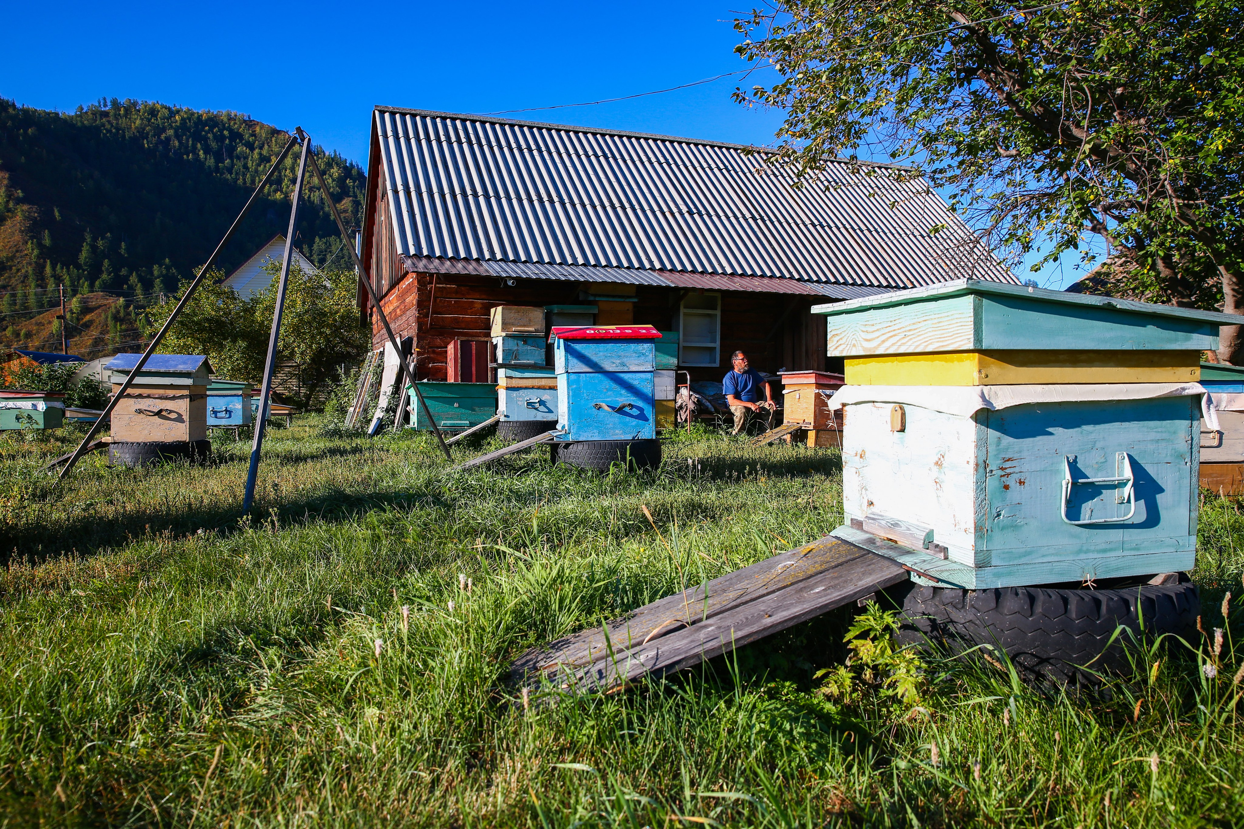 Алтай. Репортажный фотограф в Москве Зуйко Оксана