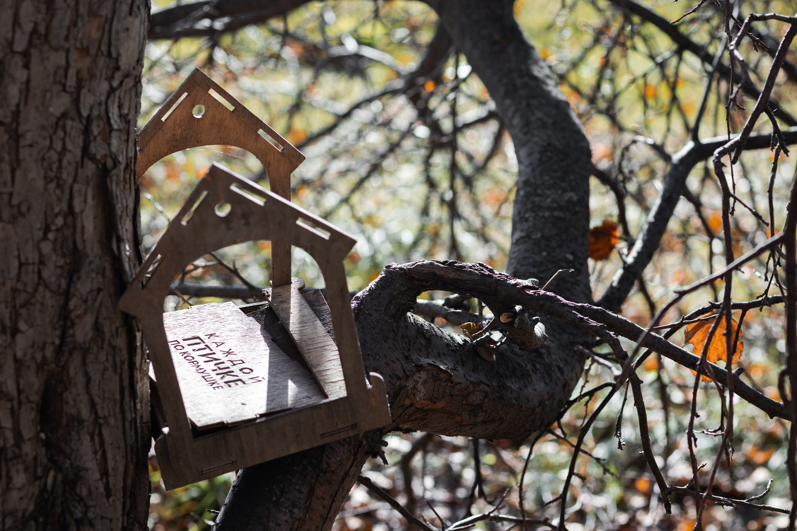 Фотограф Томск. Прогулочная фотосессия Томск. Фотосъёмка Томск. Фотограф в Томске Дарья Пучкина