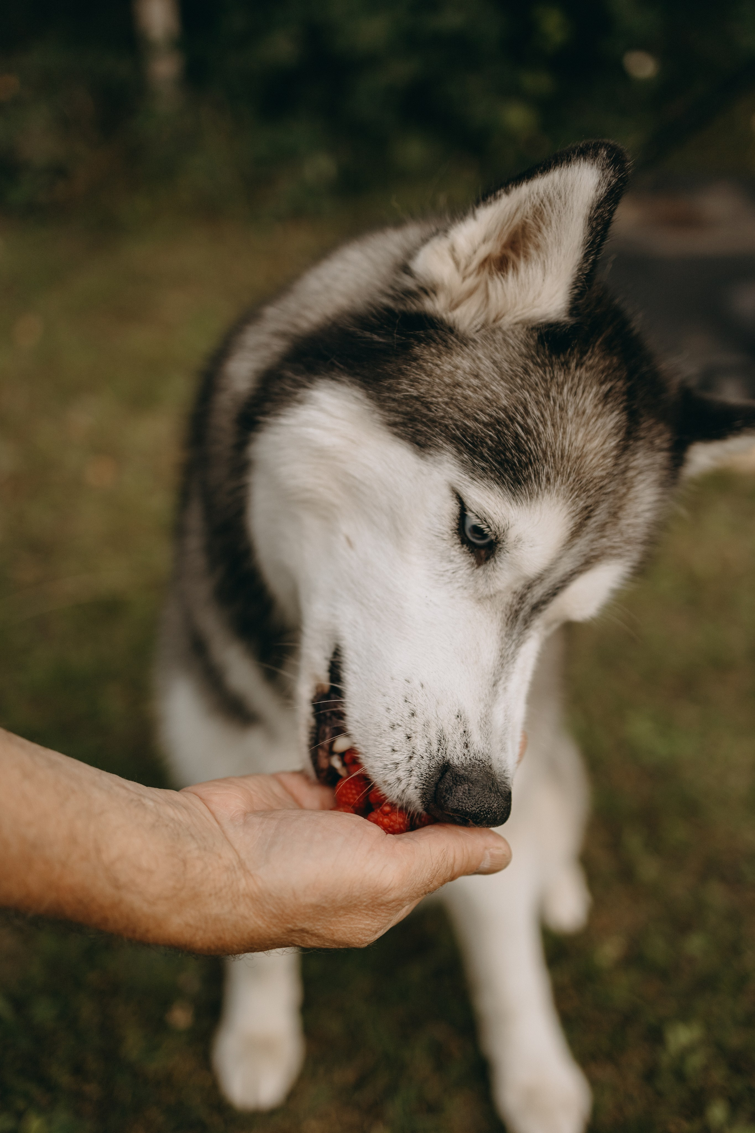 Дом у реки. Фотограф — Анималист | Санкт-Петербург