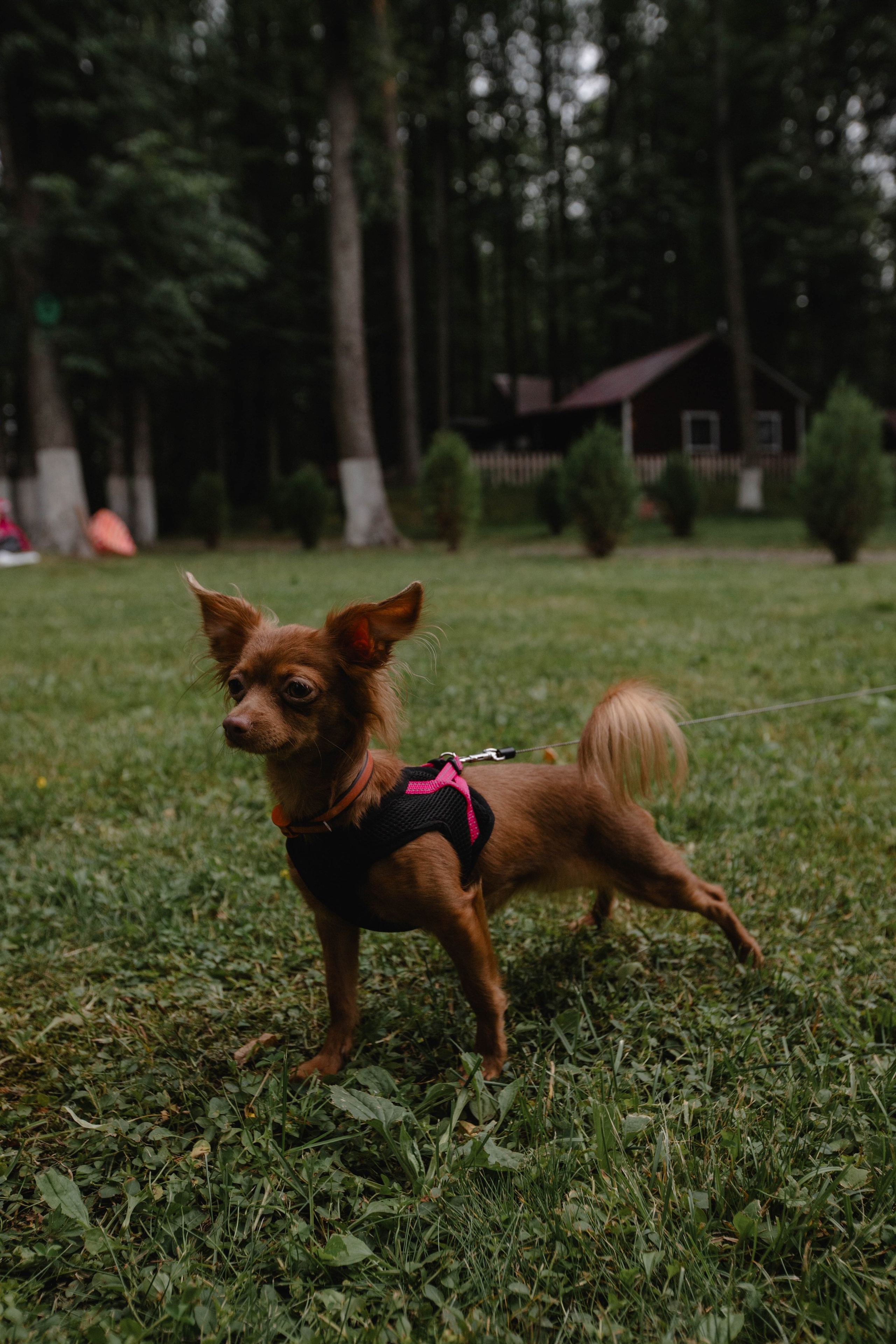 День Рождения на Ильинском пляже :)