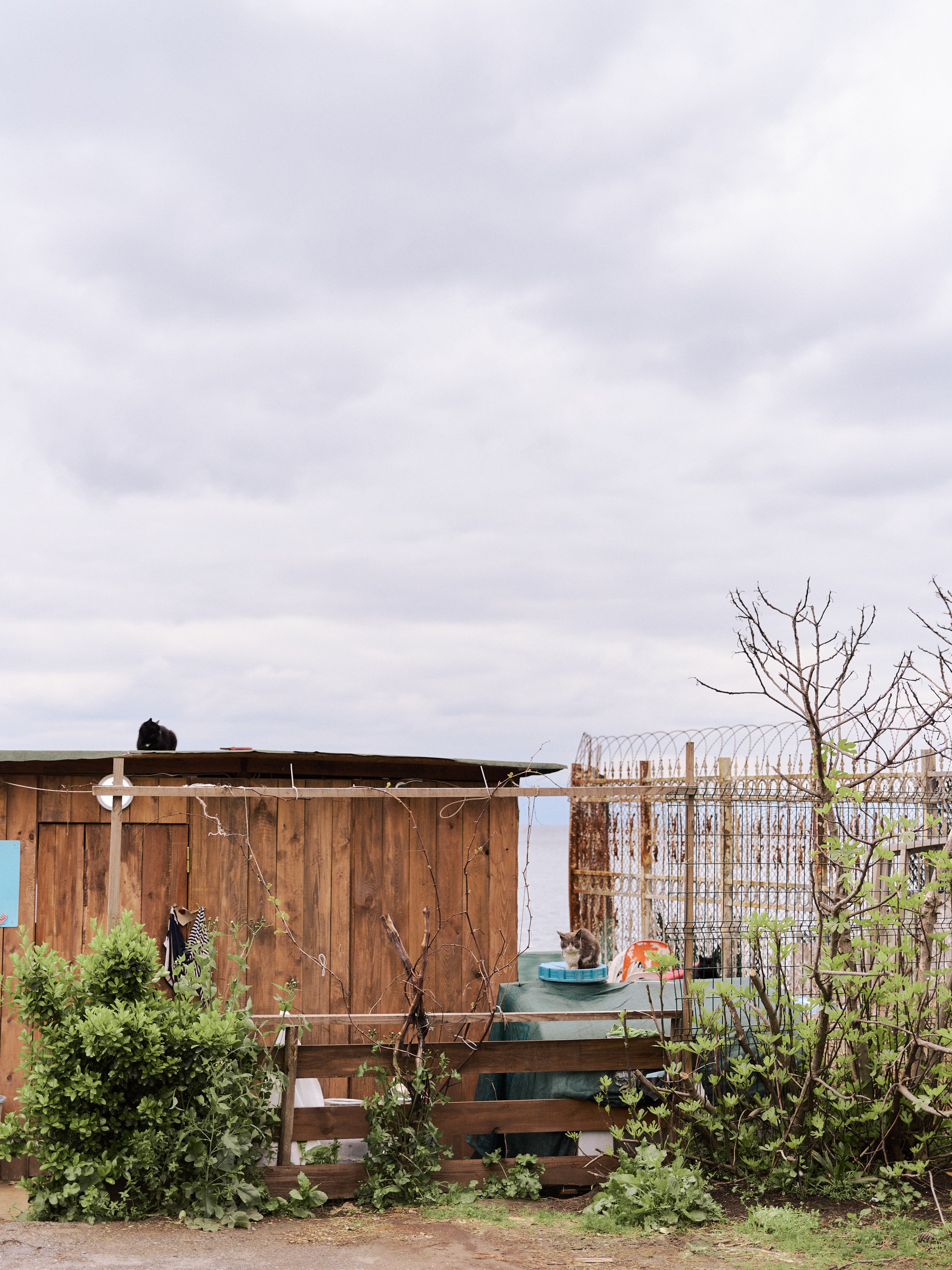 Другое 2. Jorgis Talè — photographer, kind person, teacher of arts and other mag