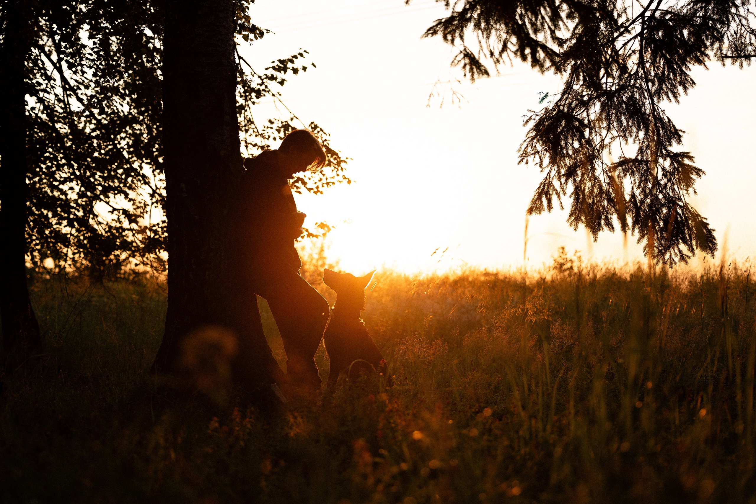 Галина и Лоя. Фотограф и видеограф анималист Аганина Дарья