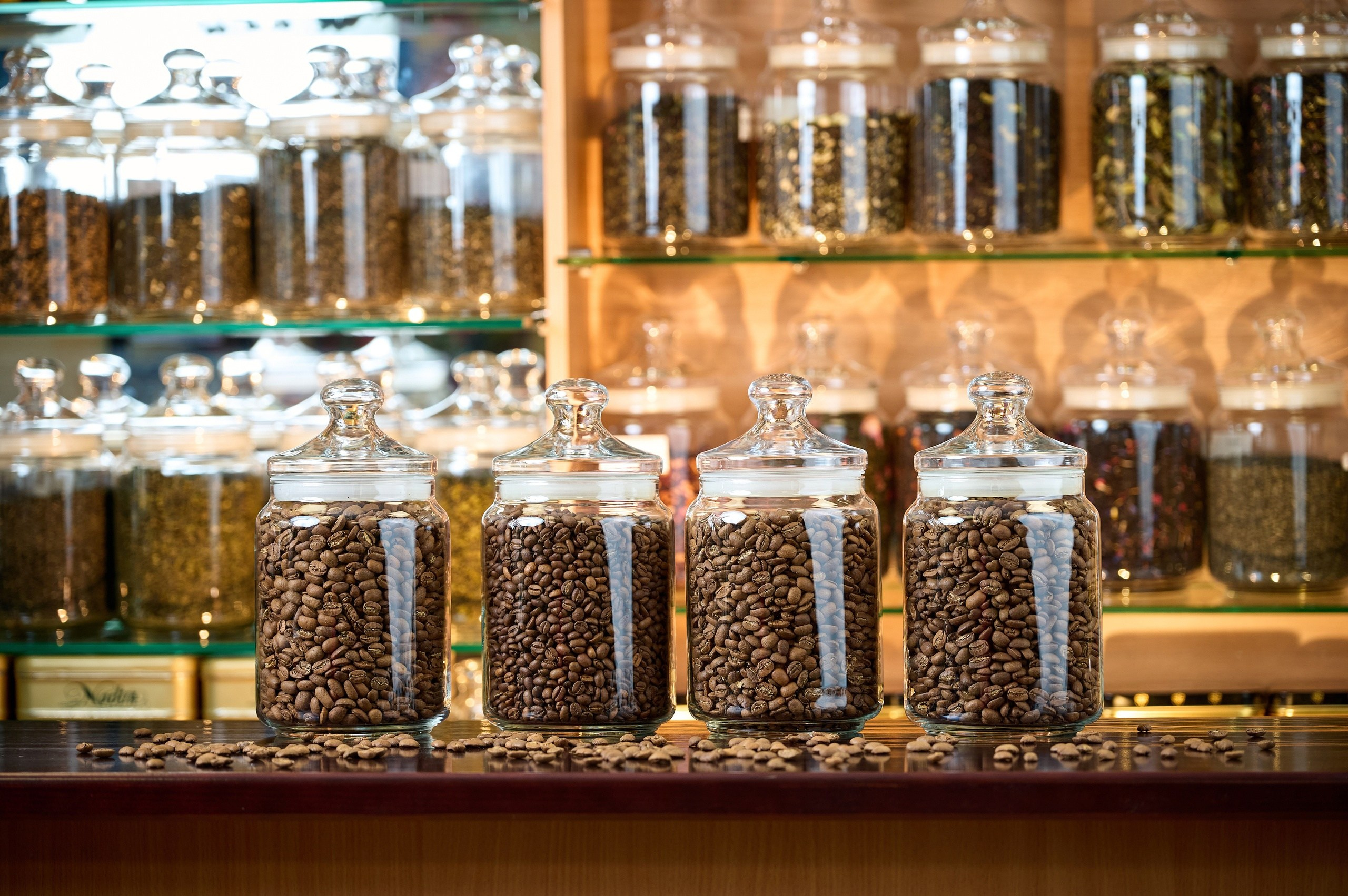 Общее портфолио. Фотограф Опыт Качество Скорость Горный Алтай Барнаул