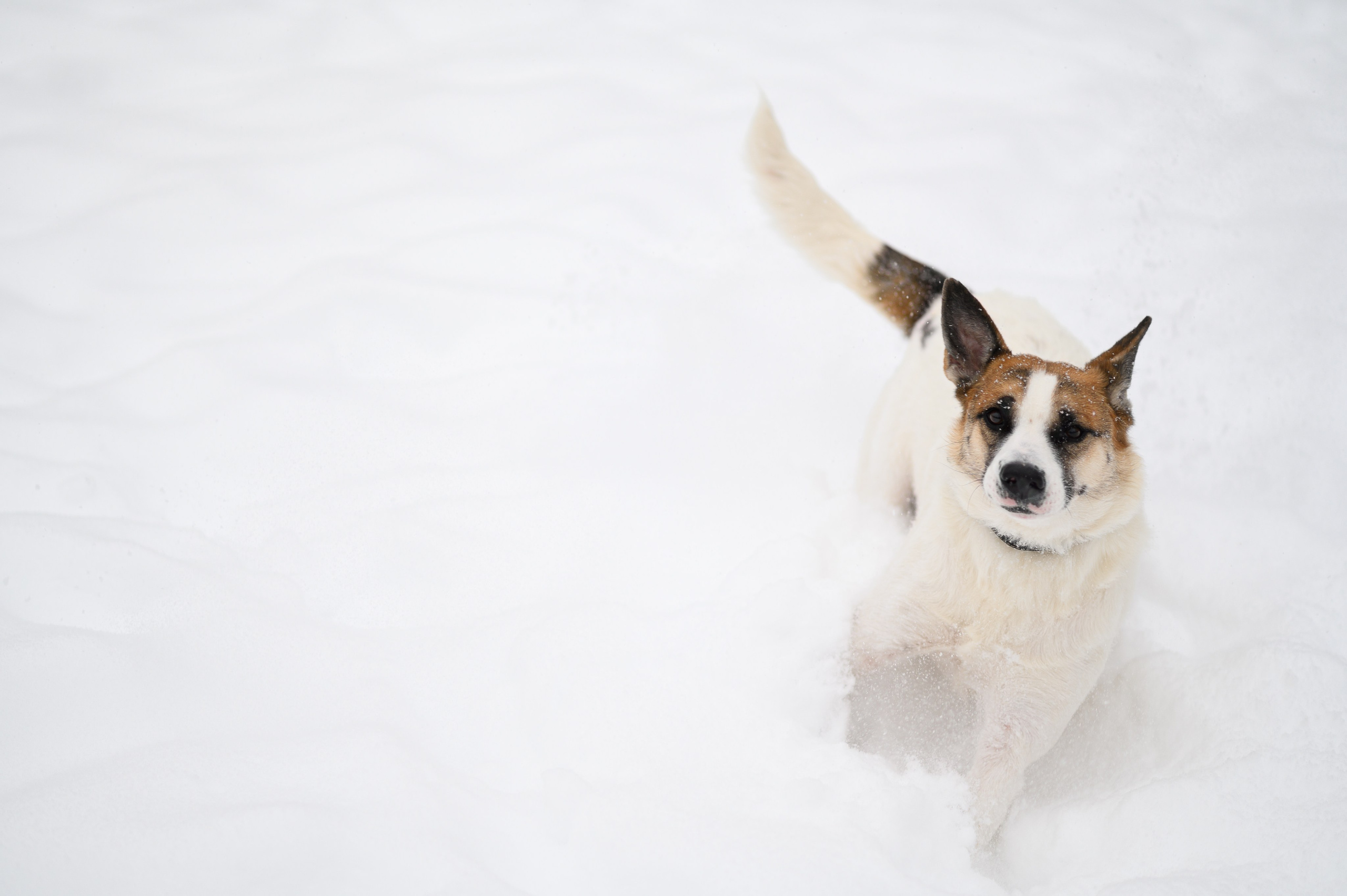 Акцент на живом. Фотограф в Москве Полина Старцева