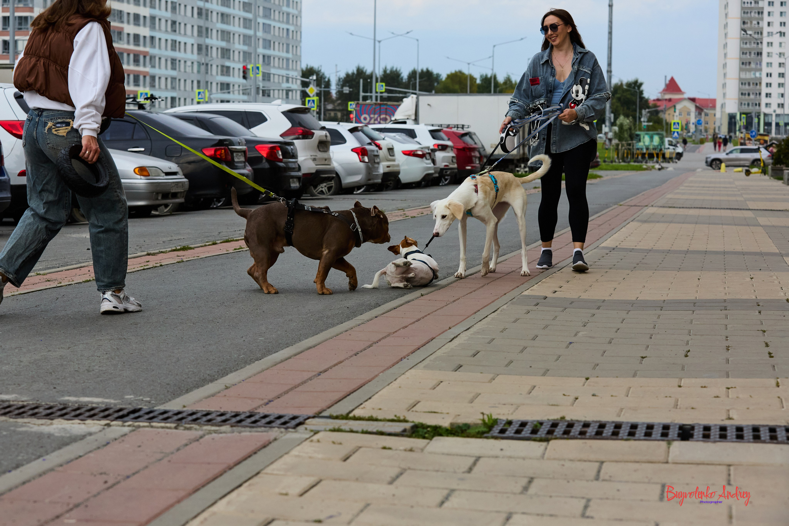 Проект фотопрогулка с хвостиком. Buyvolenko Andrey