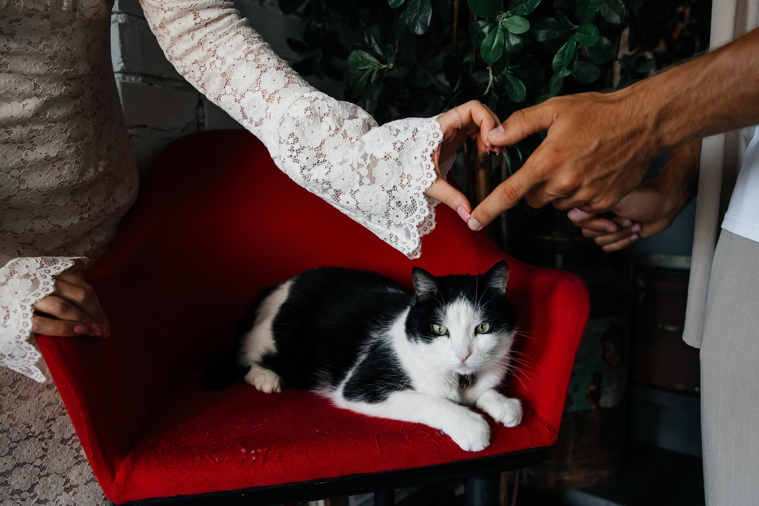 Евгений и Алена. Свадебный и семейный фотограф в Ростове-на-Дону