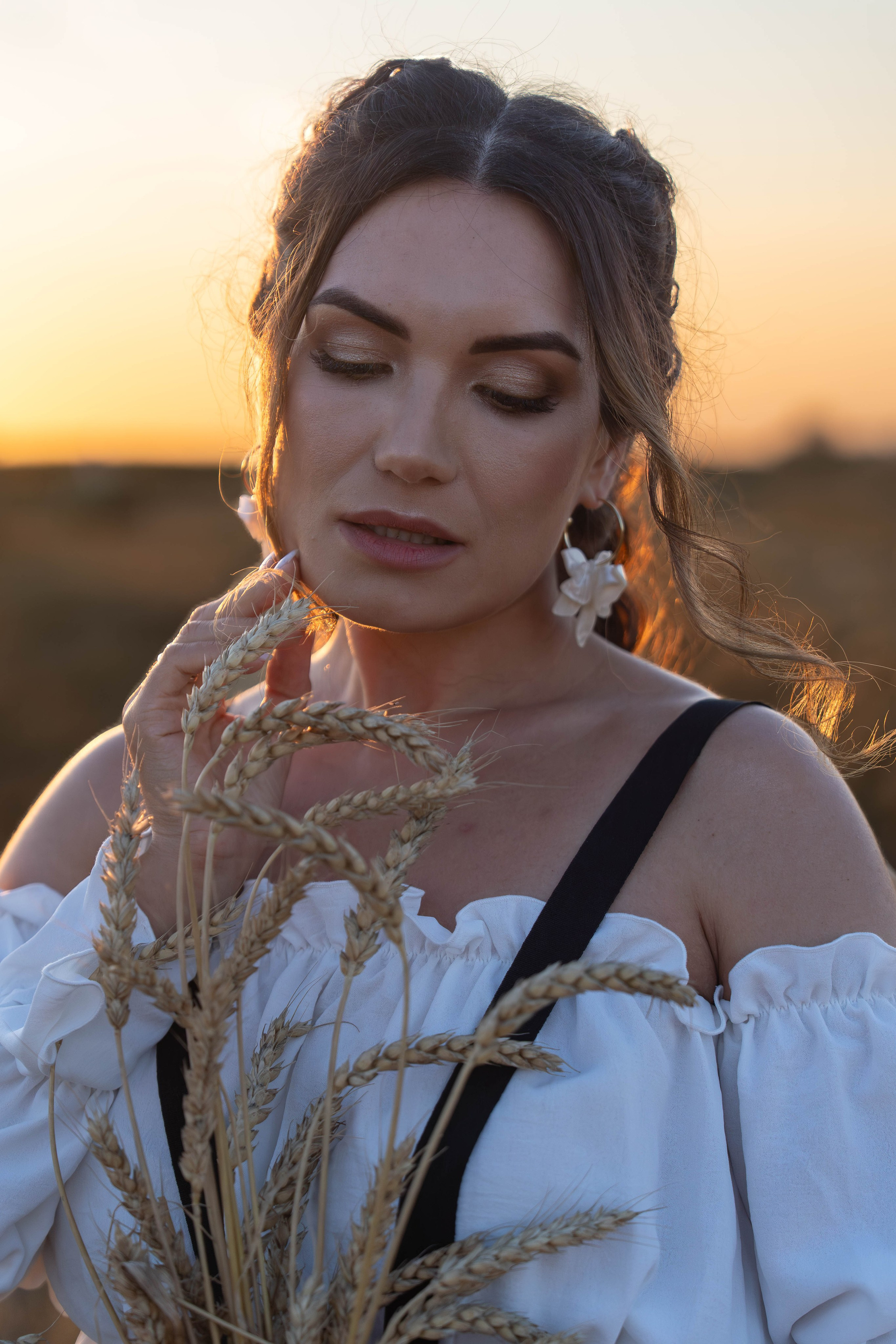 Пшеничные поля. Главная