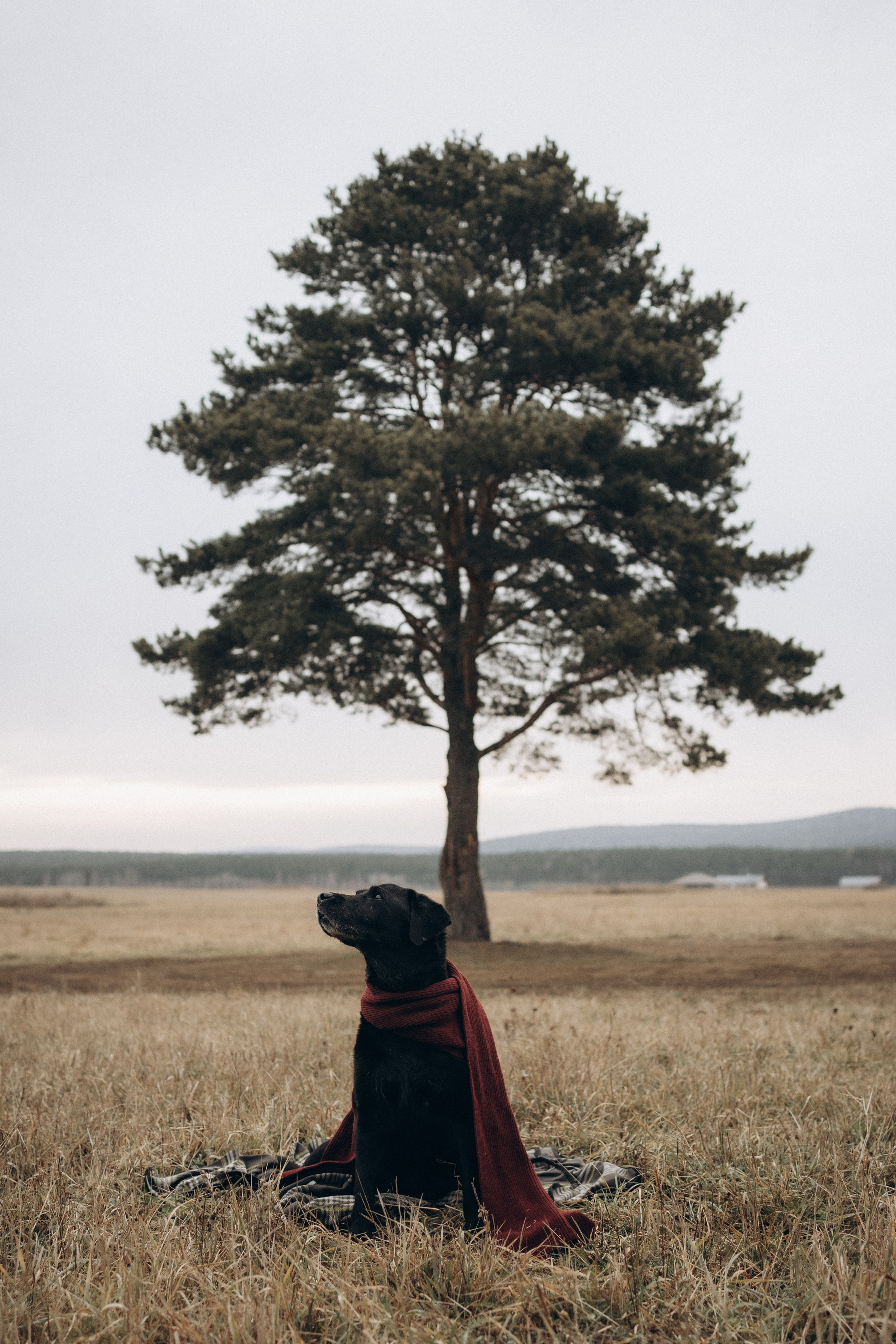 Таня и Молли. Фотограф-анималист Анастасия Большакова
